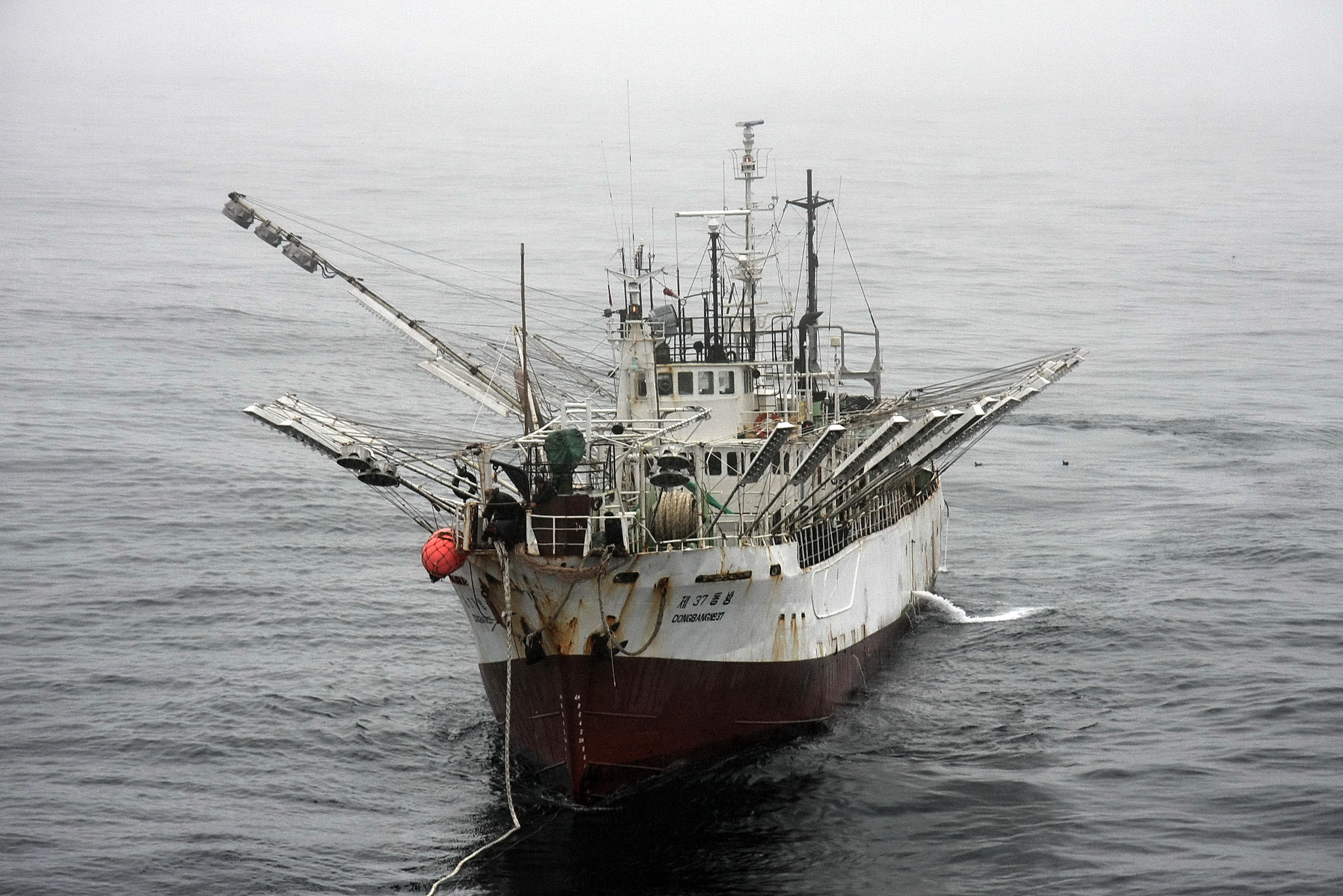 Sea locust - My, Tanker, Fishermen, Squid, Work at sea, The photo, Longpost