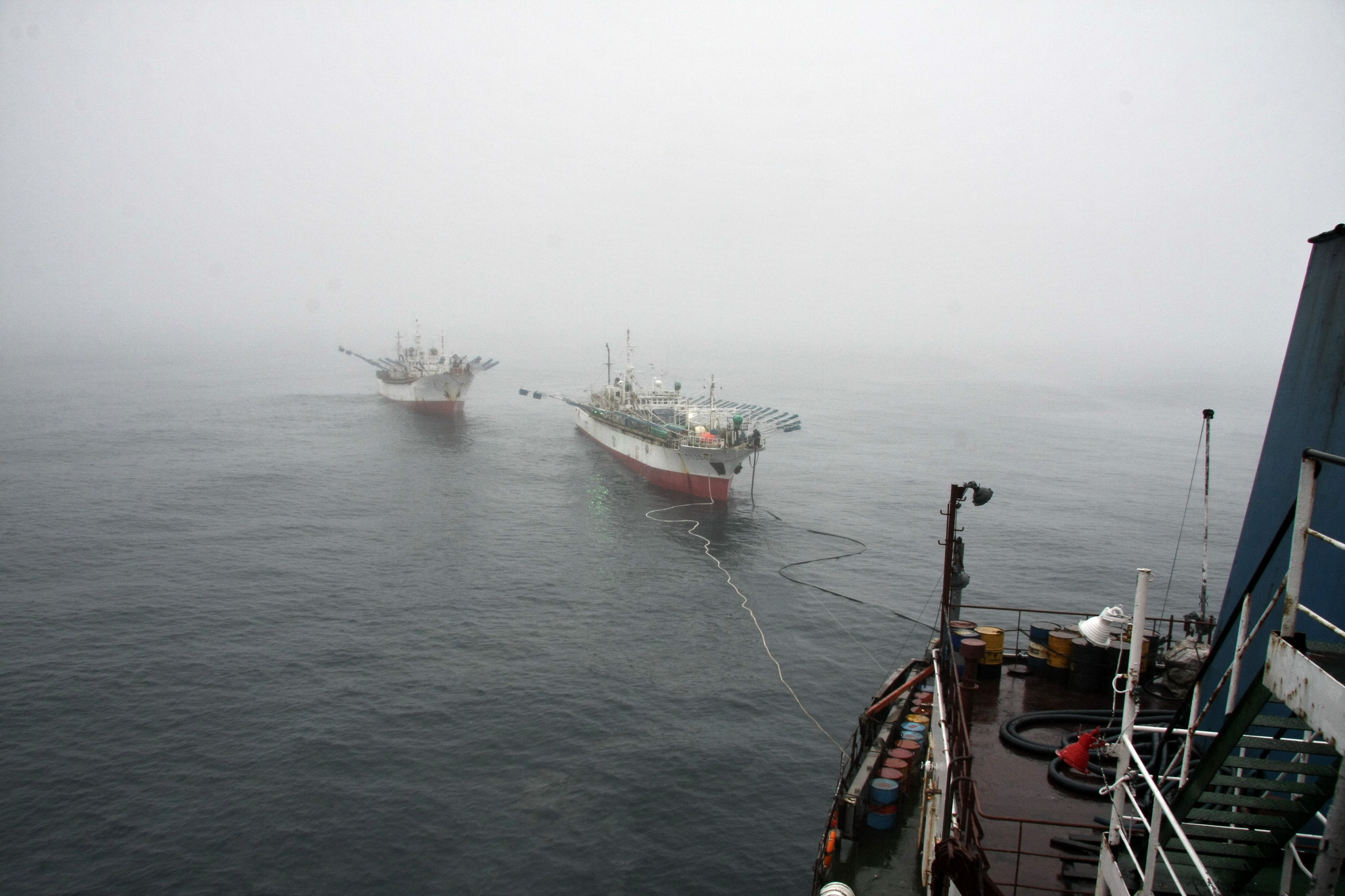 Sea locust - My, Tanker, Fishermen, Squid, Work at sea, The photo, Longpost