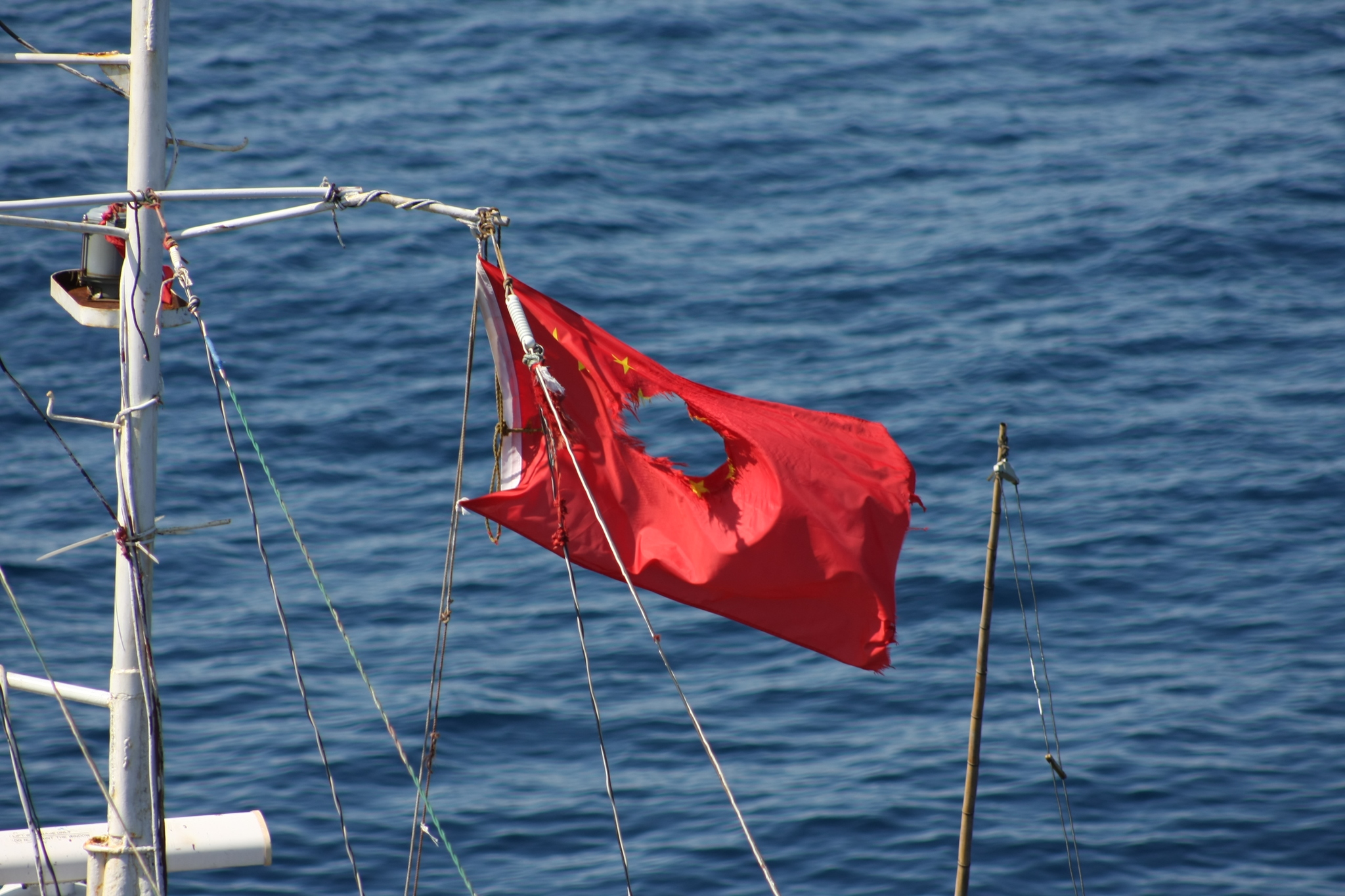 Sea locust - My, Tanker, Fishermen, Squid, Work at sea, The photo, Longpost