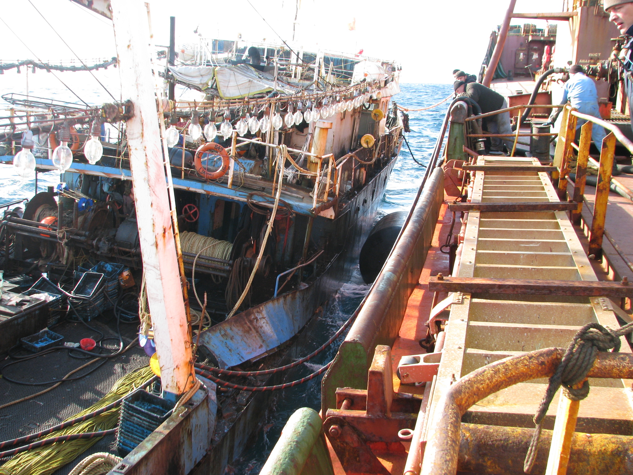 Sea locust. Continuation - My, Work at sea, Fishermen, Squid, Longpost, The photo