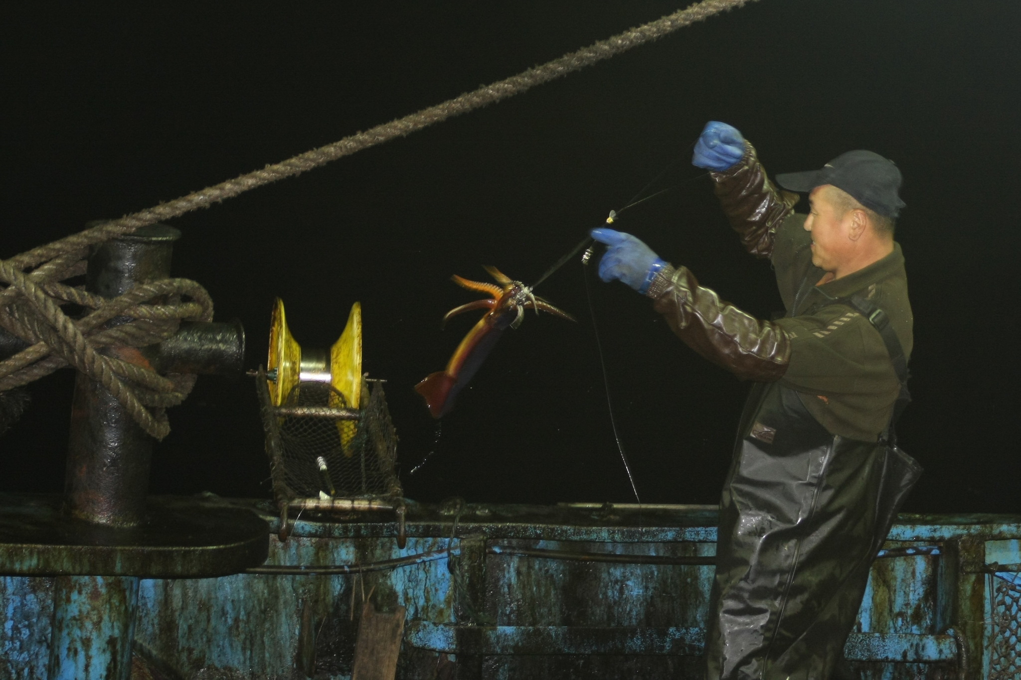 Sea locust. Continuation - My, Work at sea, Fishermen, Squid, Longpost, The photo