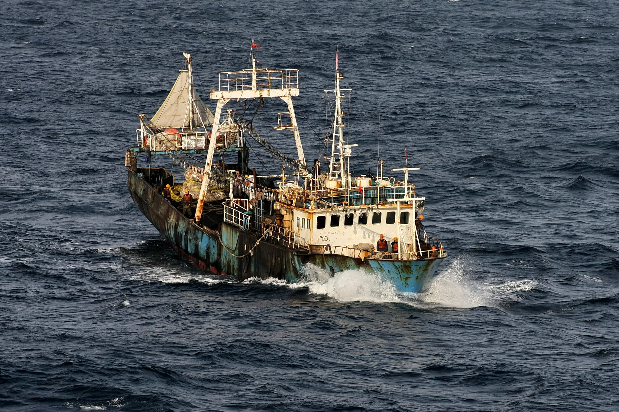 Sea locust. Continuation - My, Work at sea, Fishermen, Squid, Longpost, The photo