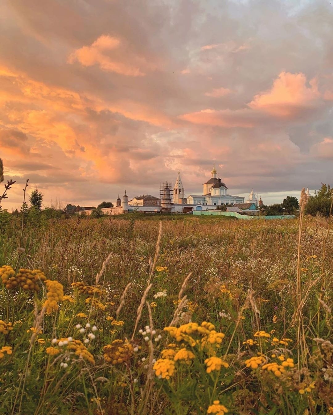 Kolomna - The photo, Kolomna, Russia, Nature, Flowers, Field, Temple