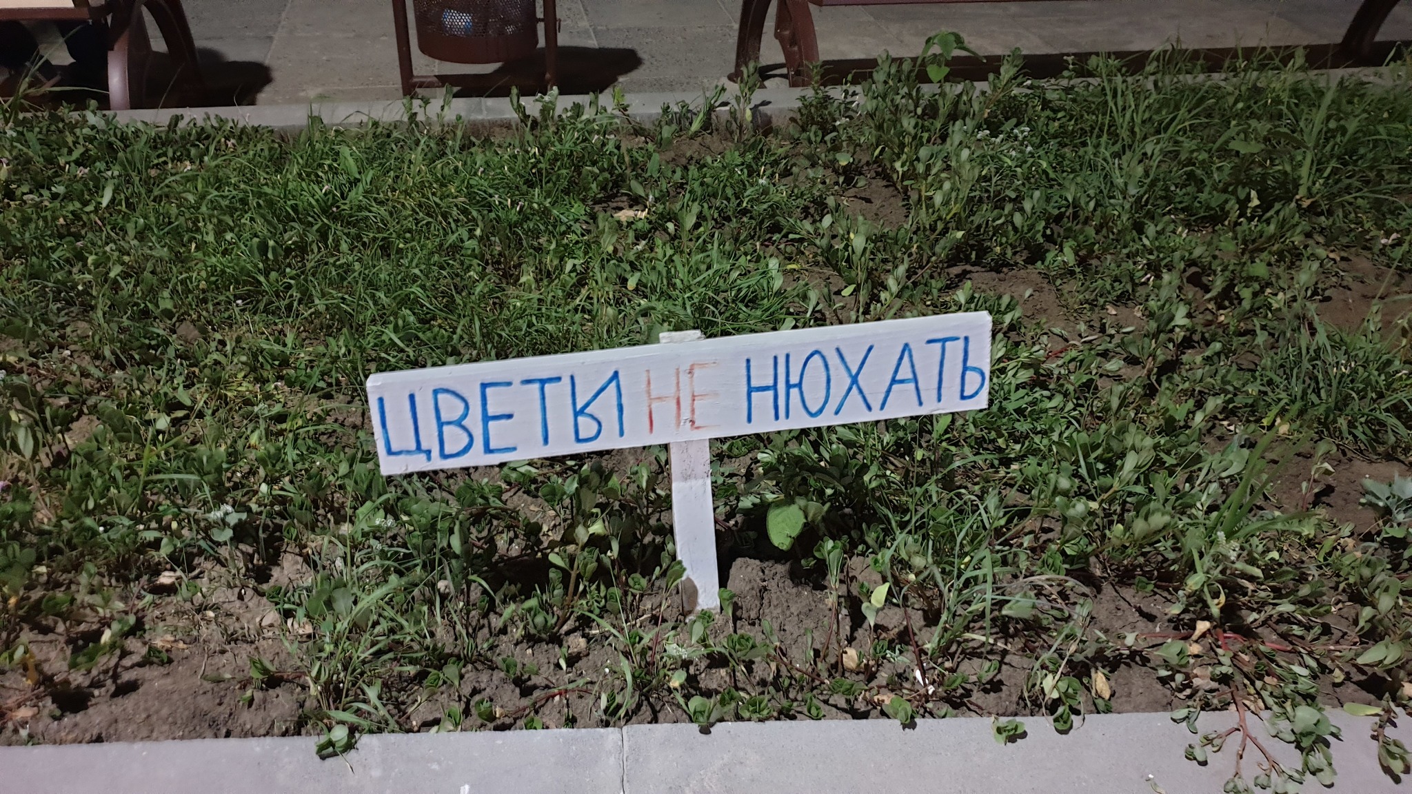 Odessa signs - My, Odessa, Longpost, Humor, Black Sea