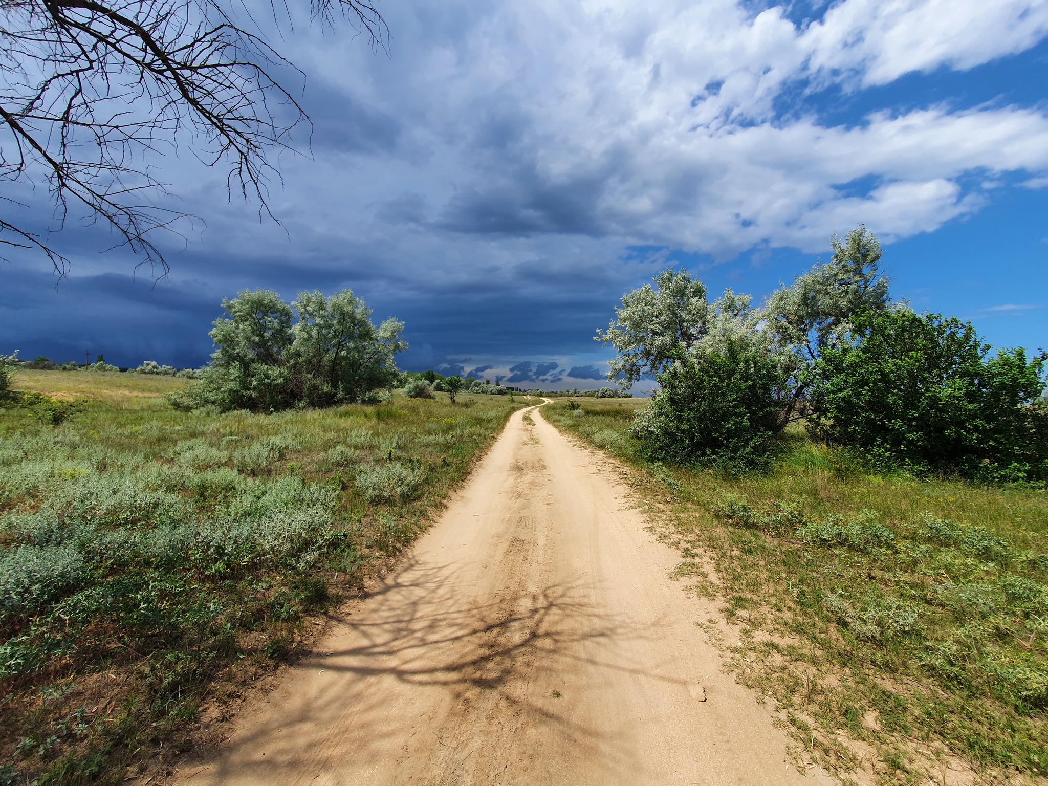 Somewhere in Crimea - My, Sky, Mainly cloudy, It's clear, Crimea, Road, The photo, Tree