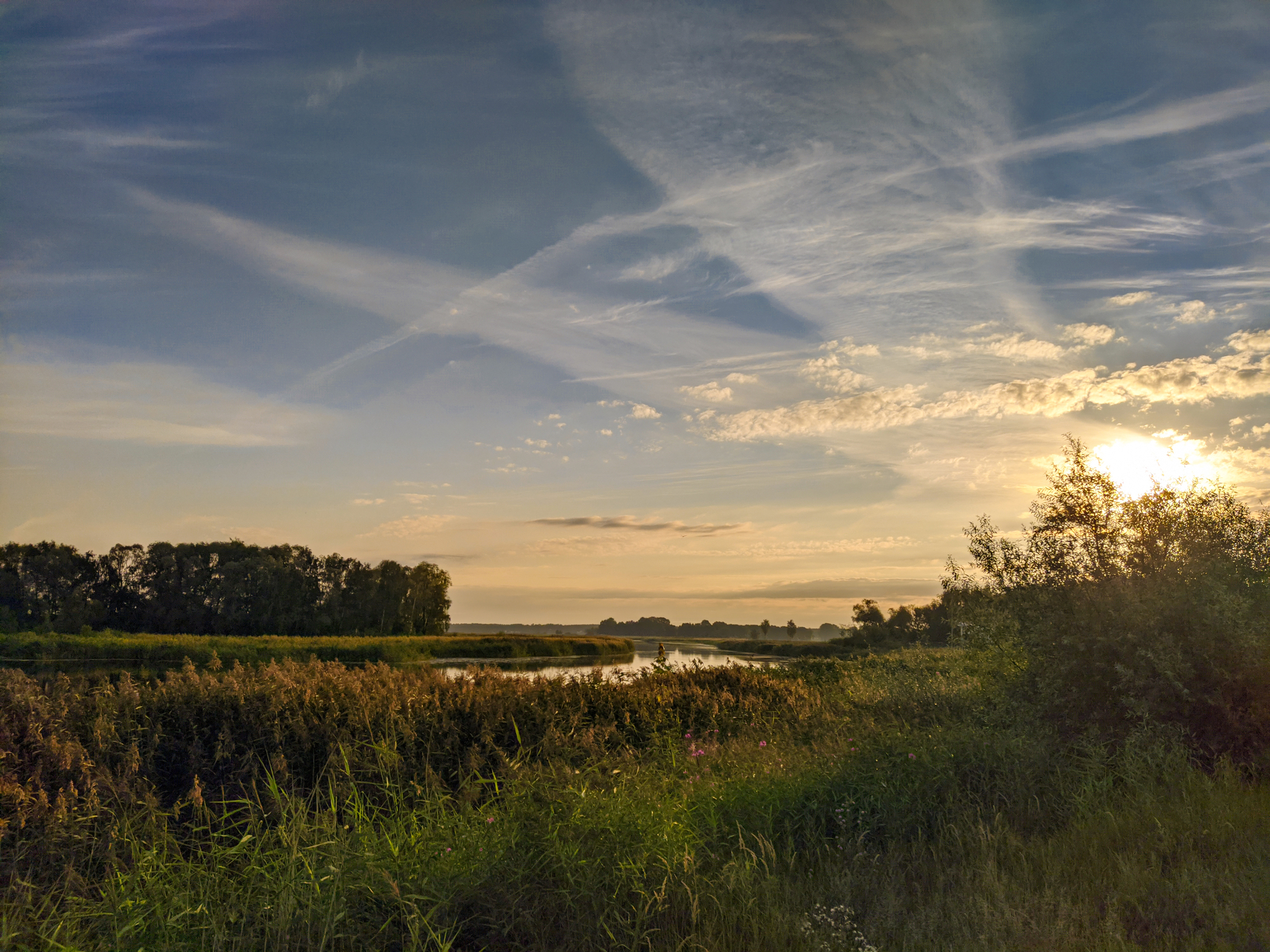 Morning perches - My, Fishing, dawn, Nature, Perch, Longpost