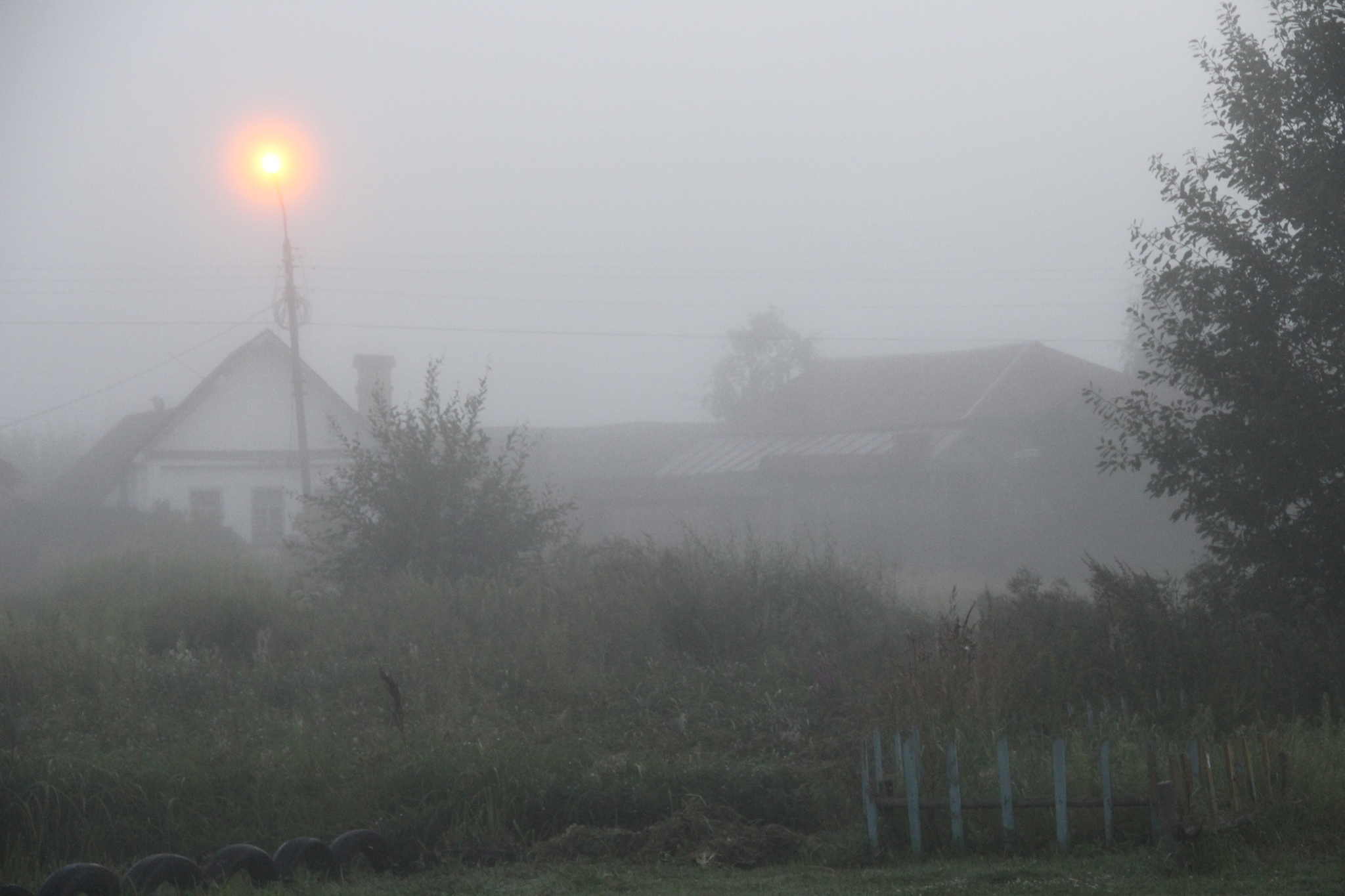 Just a photo - My, The photo, Nature, Fog, beauty, Atmospheric, Longpost