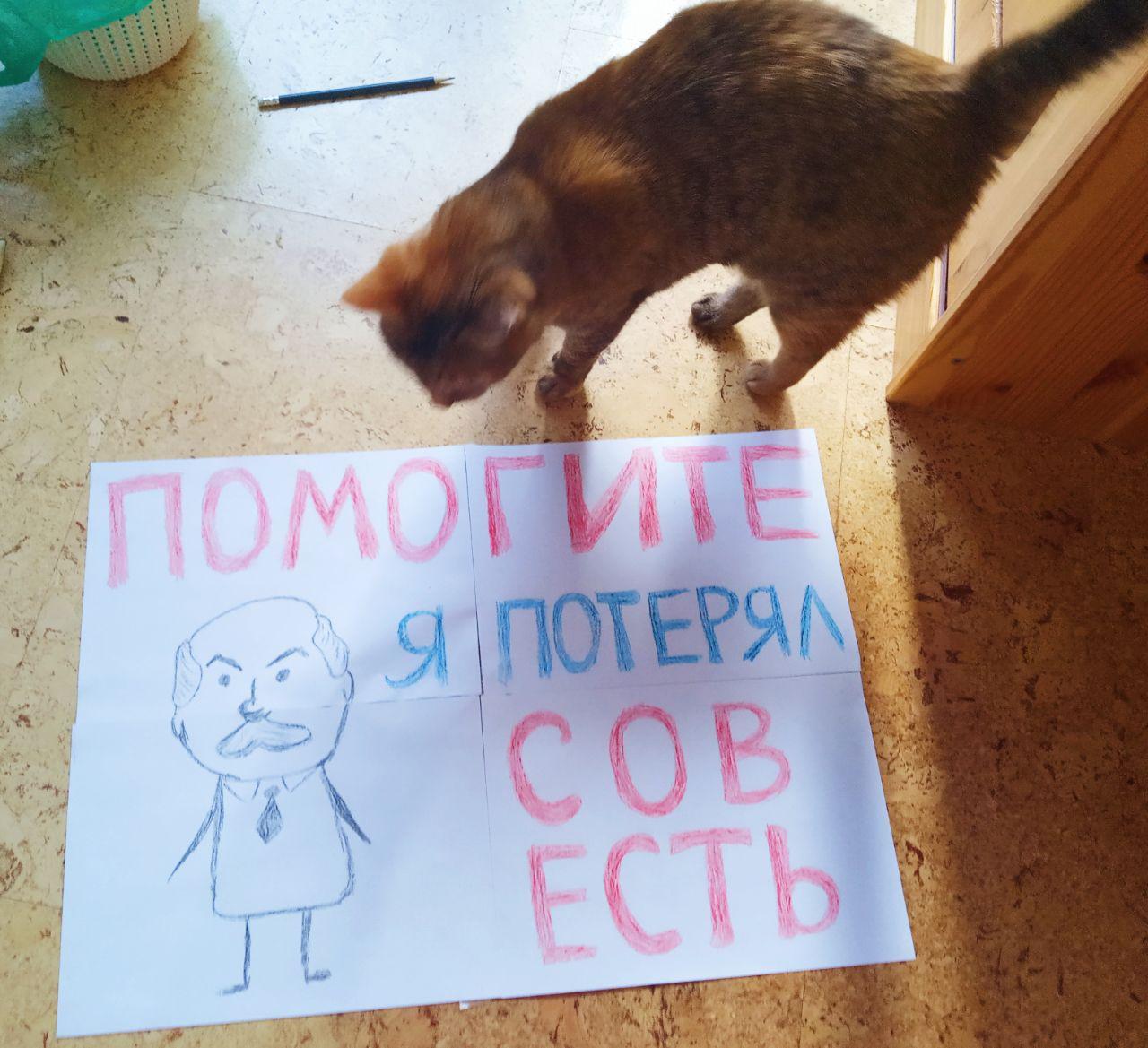 Our smaller brothers are also protesting! - Republic of Belarus, Protest, Animals, Longpost, cat, Politics