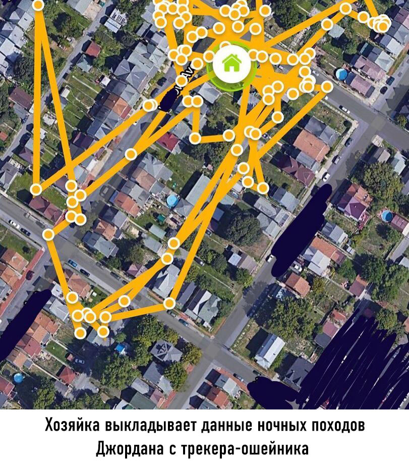 Тихо сп*издил и пошел, называется нашел - Кот, Обувь, Вор, Длиннопост, Мат