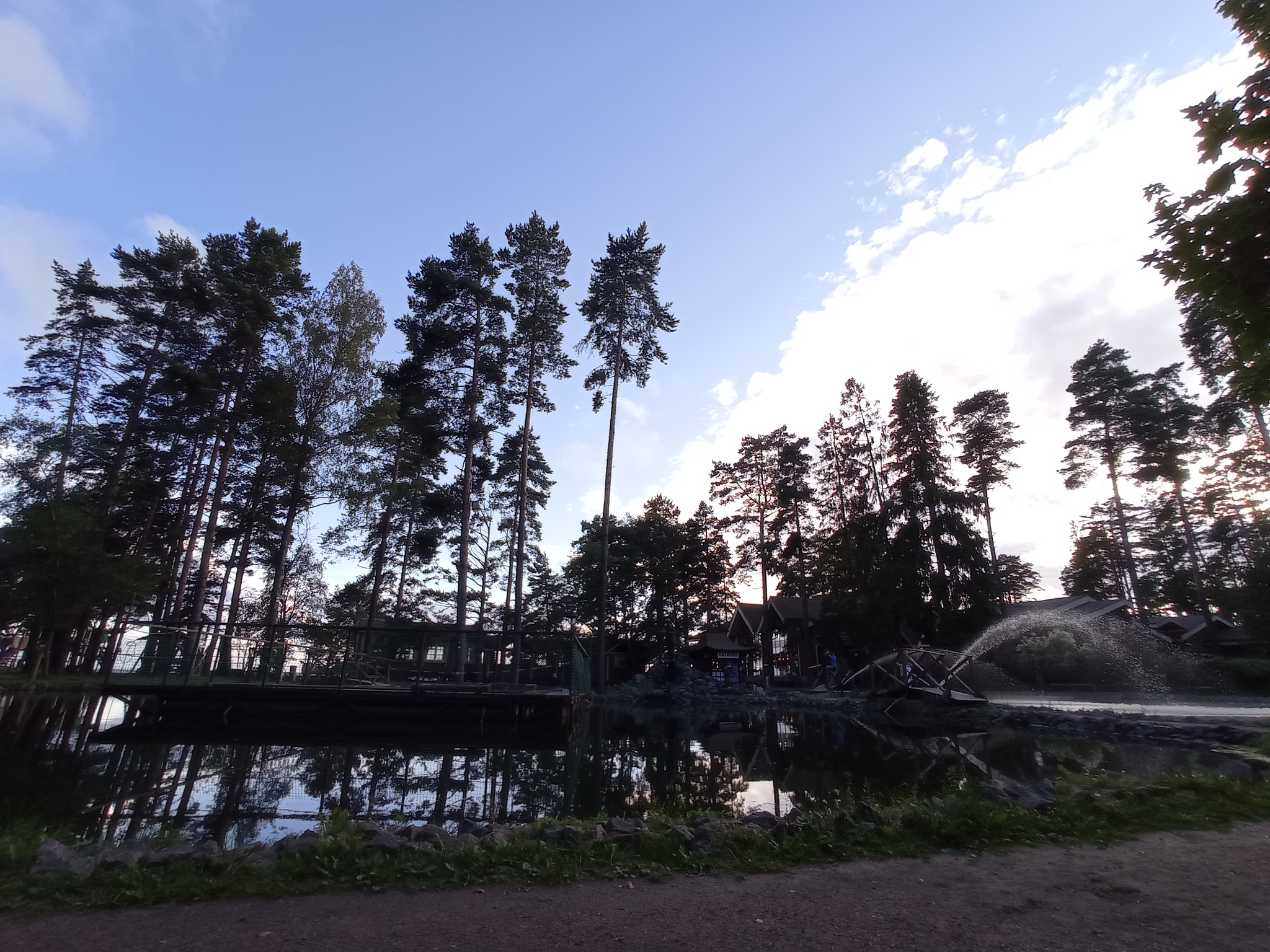 I am just learning - My, Nature, Leningrad region, Longpost, The photo