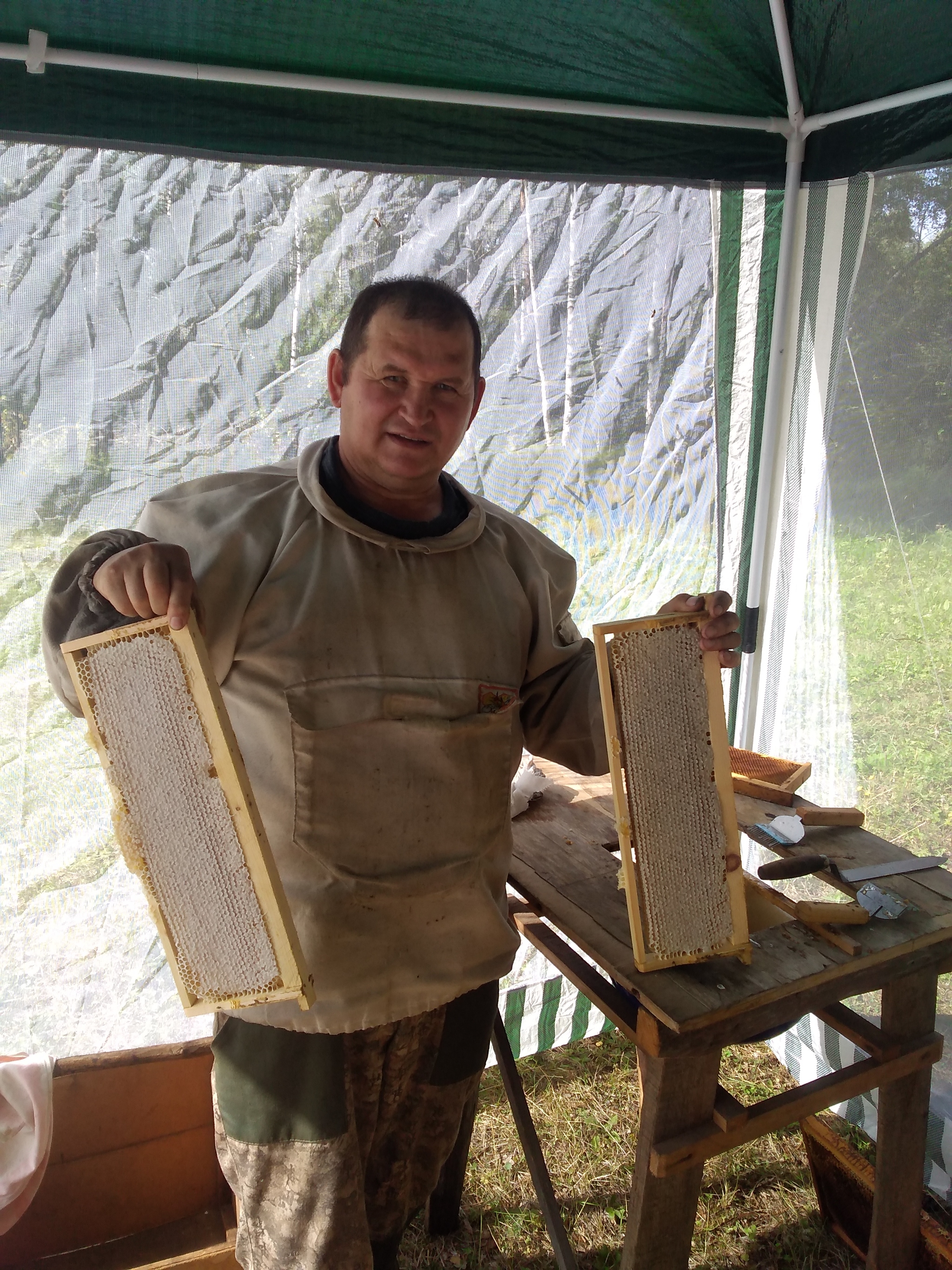 Collecting honey in a small apiary in Siberia - My, Friday tag is mine, Honey, Bees, Longpost