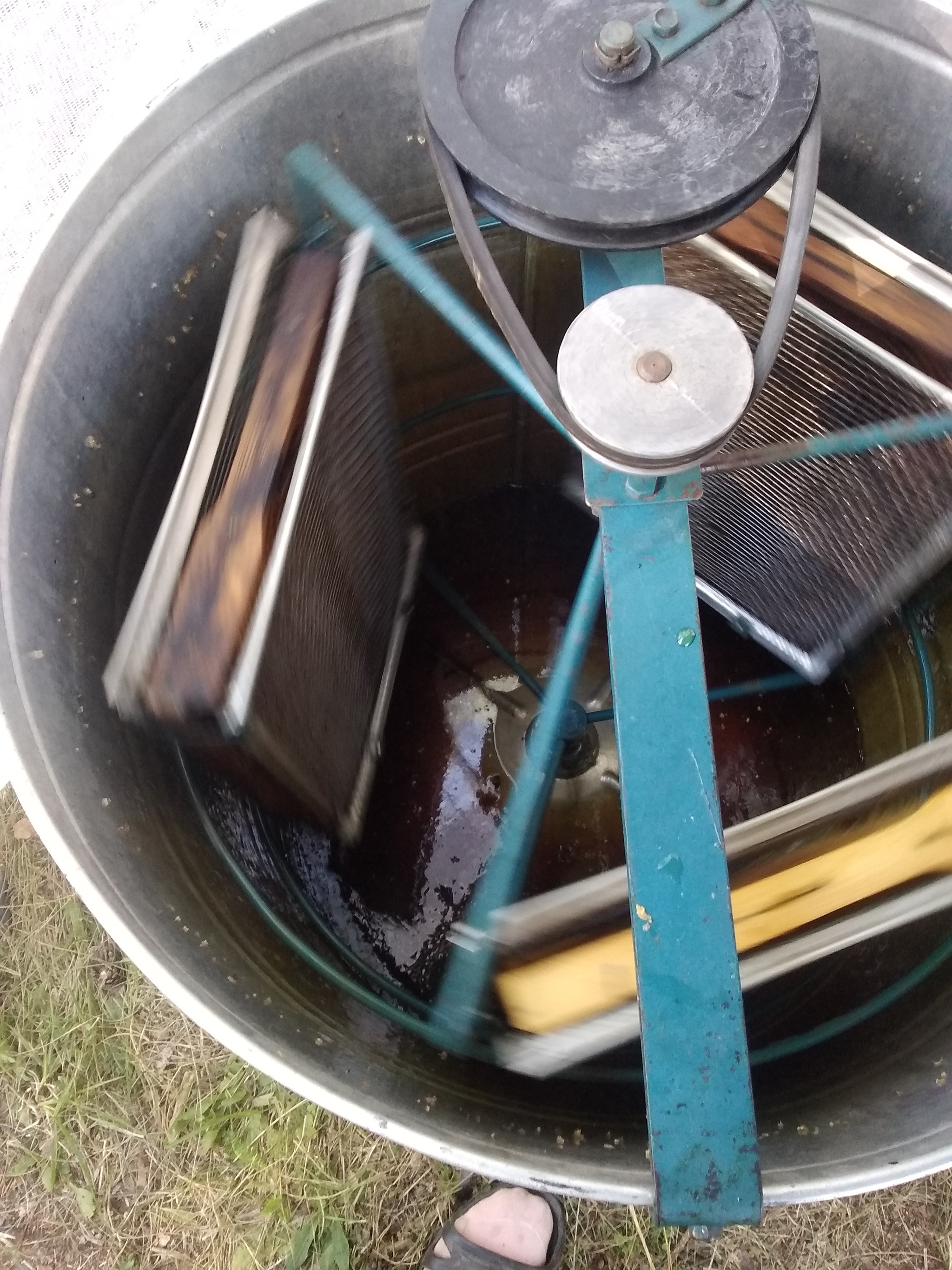 Collecting honey in a small apiary in Siberia - My, Friday tag is mine, Honey, Bees, Longpost