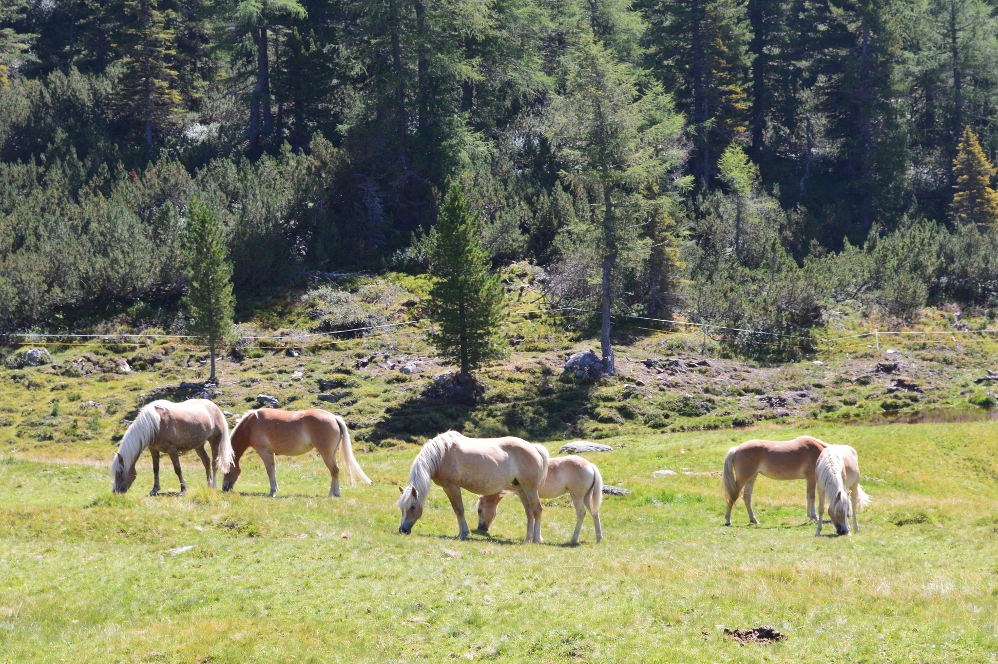 Hiking in the Austrian and Tyrolean mountains - My, Austria, Tyrol, The mountains, Hike, Tourism, Travels, The photo, Summer, Innsbruck, Longpost