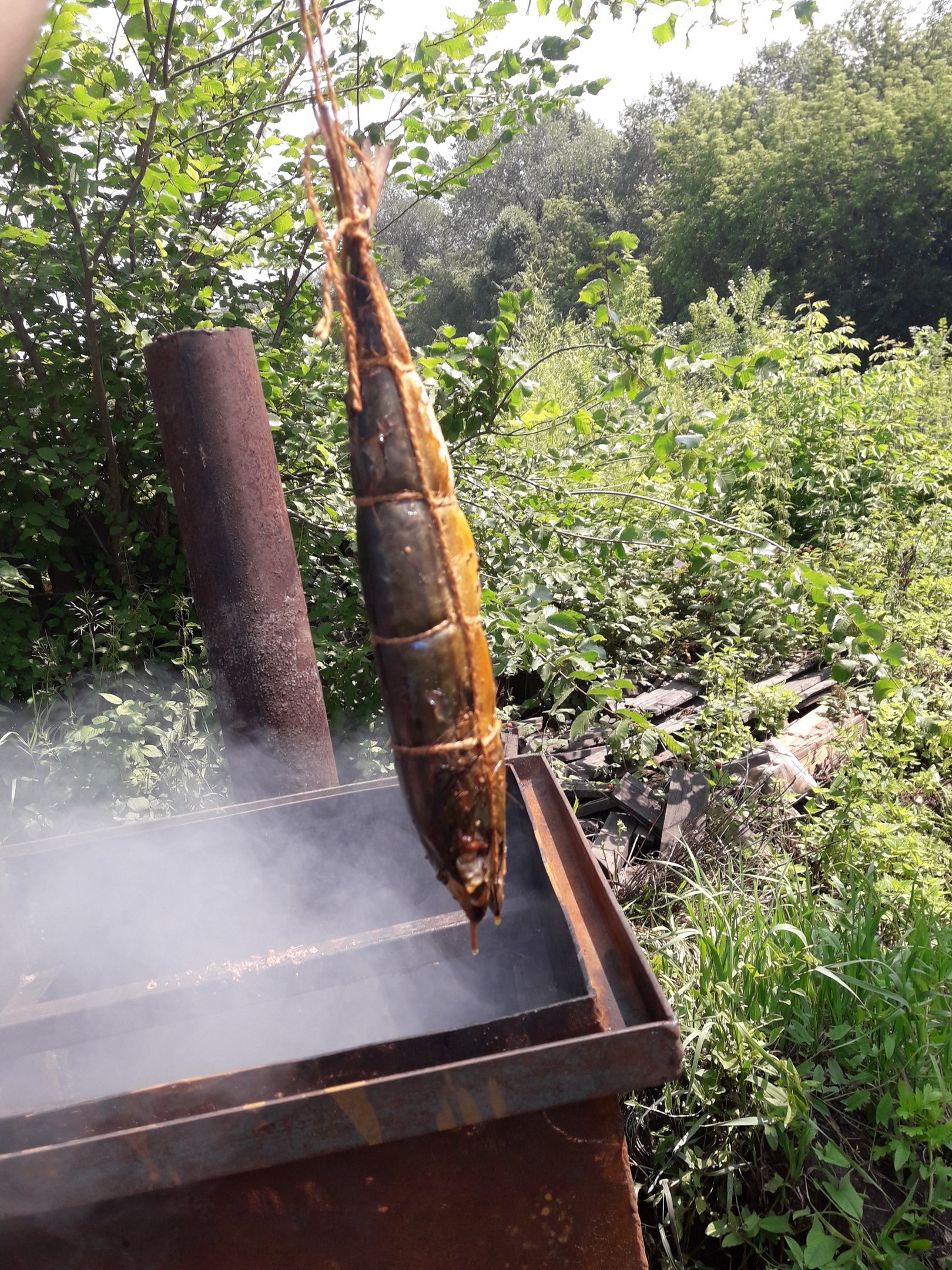 My smokehouse - My, Food, Smoking, Hot smoking, Cooking, Smoke, Longpost