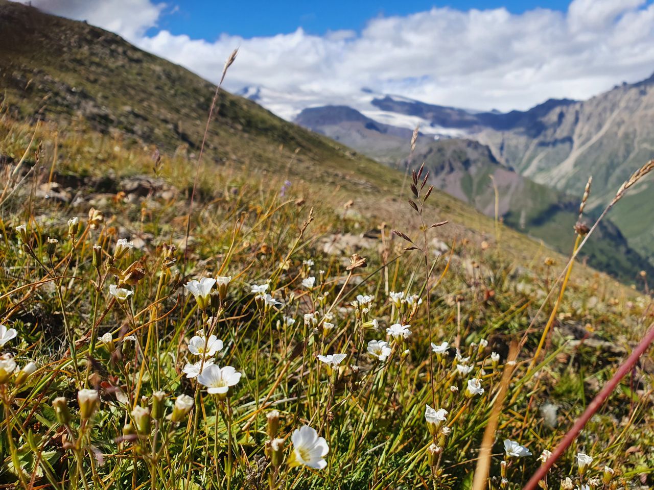 Such a different Elbrus region - My, Elbrus, Mount Cheget, Azau, Elbrus, Longpost, Nature, wildlife, The nature of Russia, The mountains, Caucasus mountains