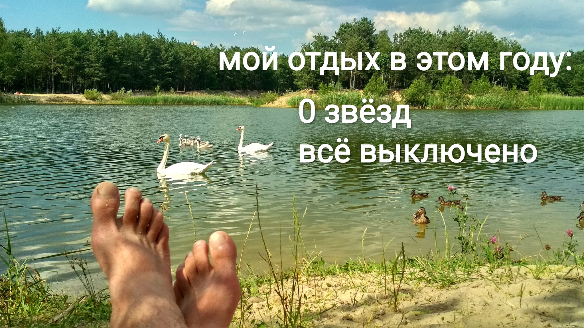 Отдых - Моё, Отдых, Дикая природа, Юмор, Отпуск