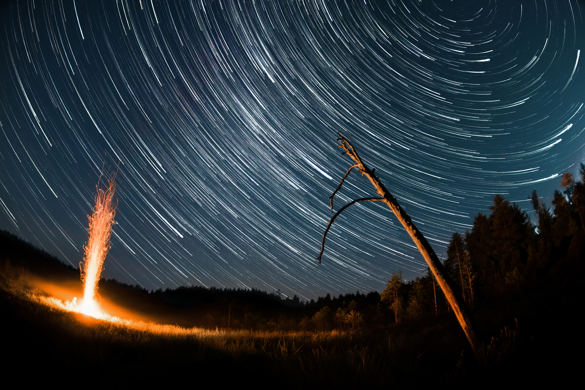 Night on the swamp - My, Starstax, Startrails, Star Tracks, Starry sky, Long exposure, Swamp, Bonfire