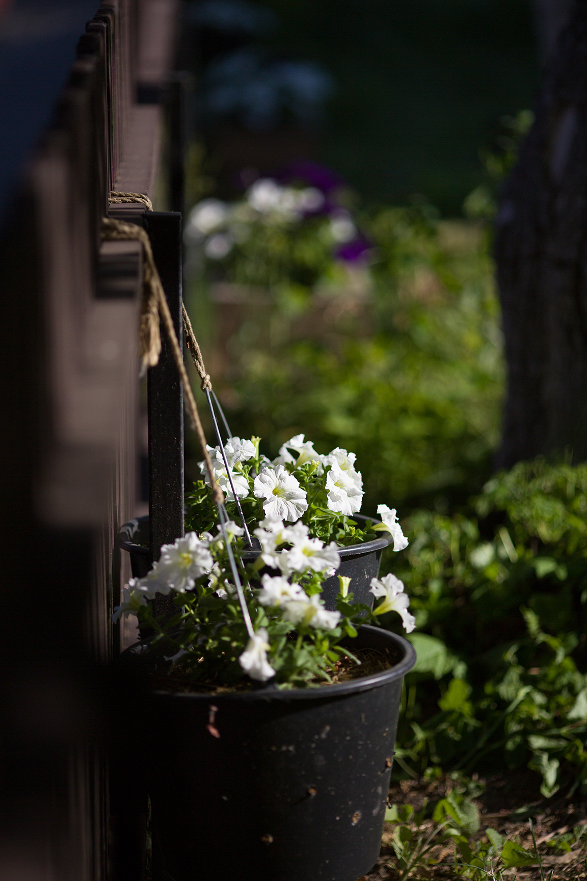 Photo of our yard - My, The photo, Photographer, Photography lessons, Beautification, Urbanism, Housing and communal services, Straight arms, Longpost