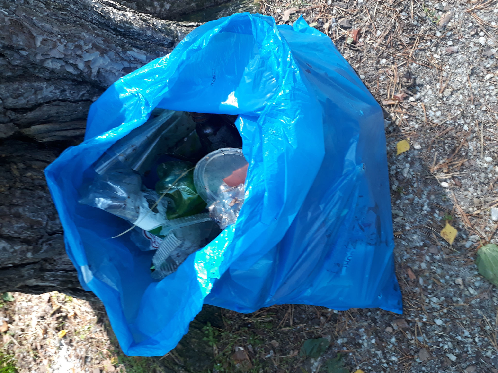 Garbage collection, Ekaterinburg, Moscow Forest Park, No. 3 - My, Pure Man's League, Yekaterinburg, Longpost, Moscow Forest Park