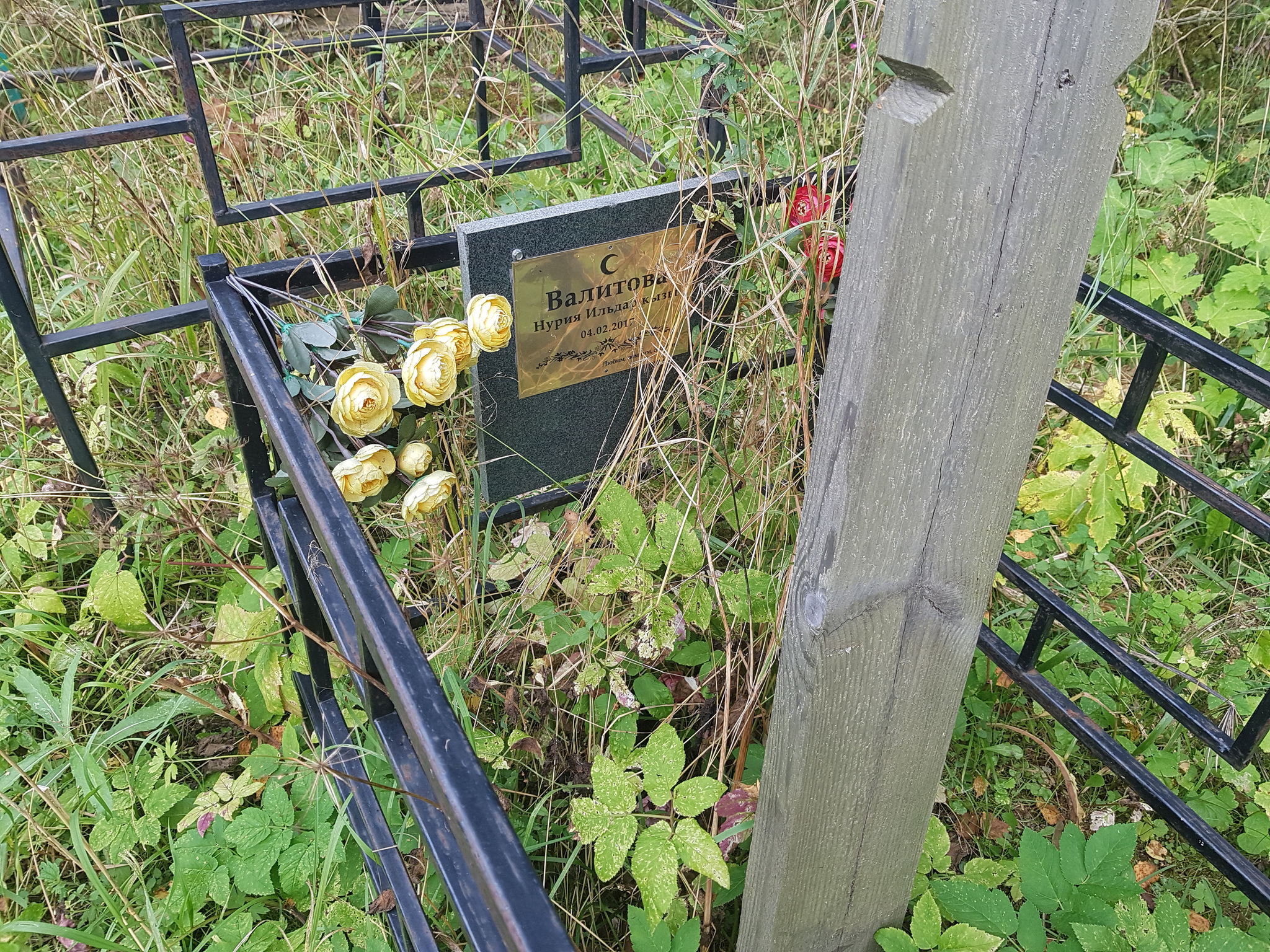 Muslim Children's Cemetery - My, Negative, Cemetery, Islam, Longpost