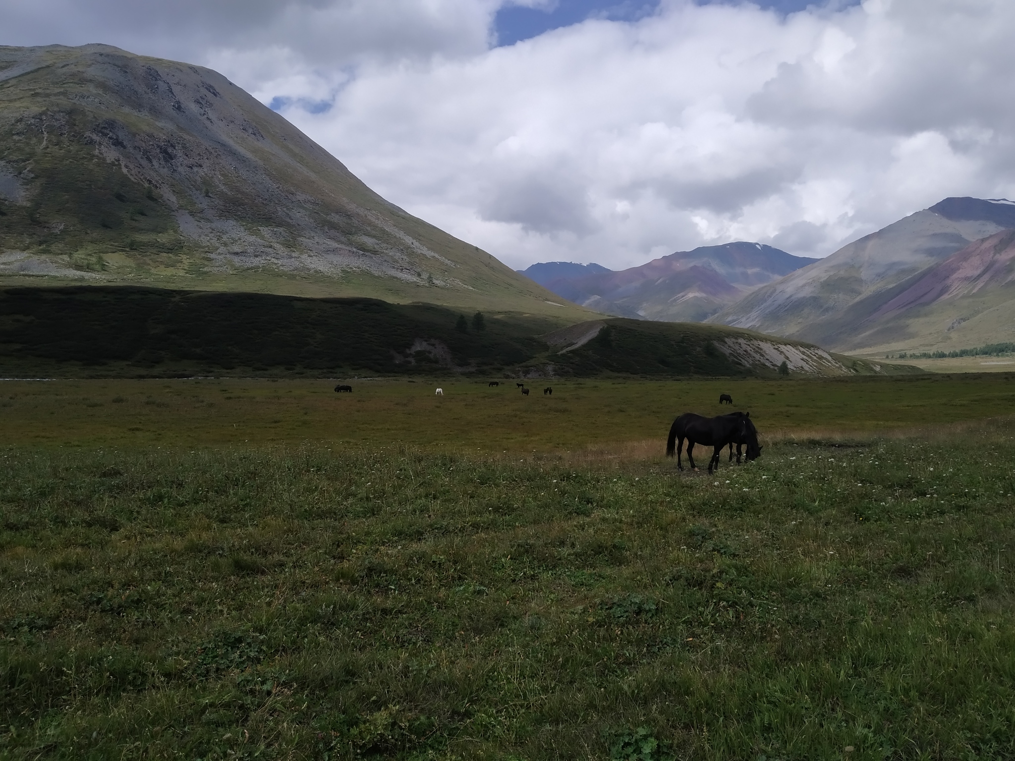 Ran 180 km in two days “around” the South Chuya ridge - My, Altai Republic, Ultratrail, Run, The mountains, Trail, Ultramarathon, Video, Longpost