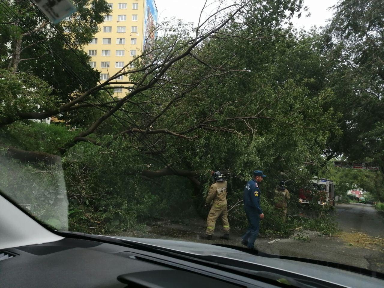 Владивосток, тайфун Майсак - Моё, Владивосток, Тайфун, Видео, Длиннопост