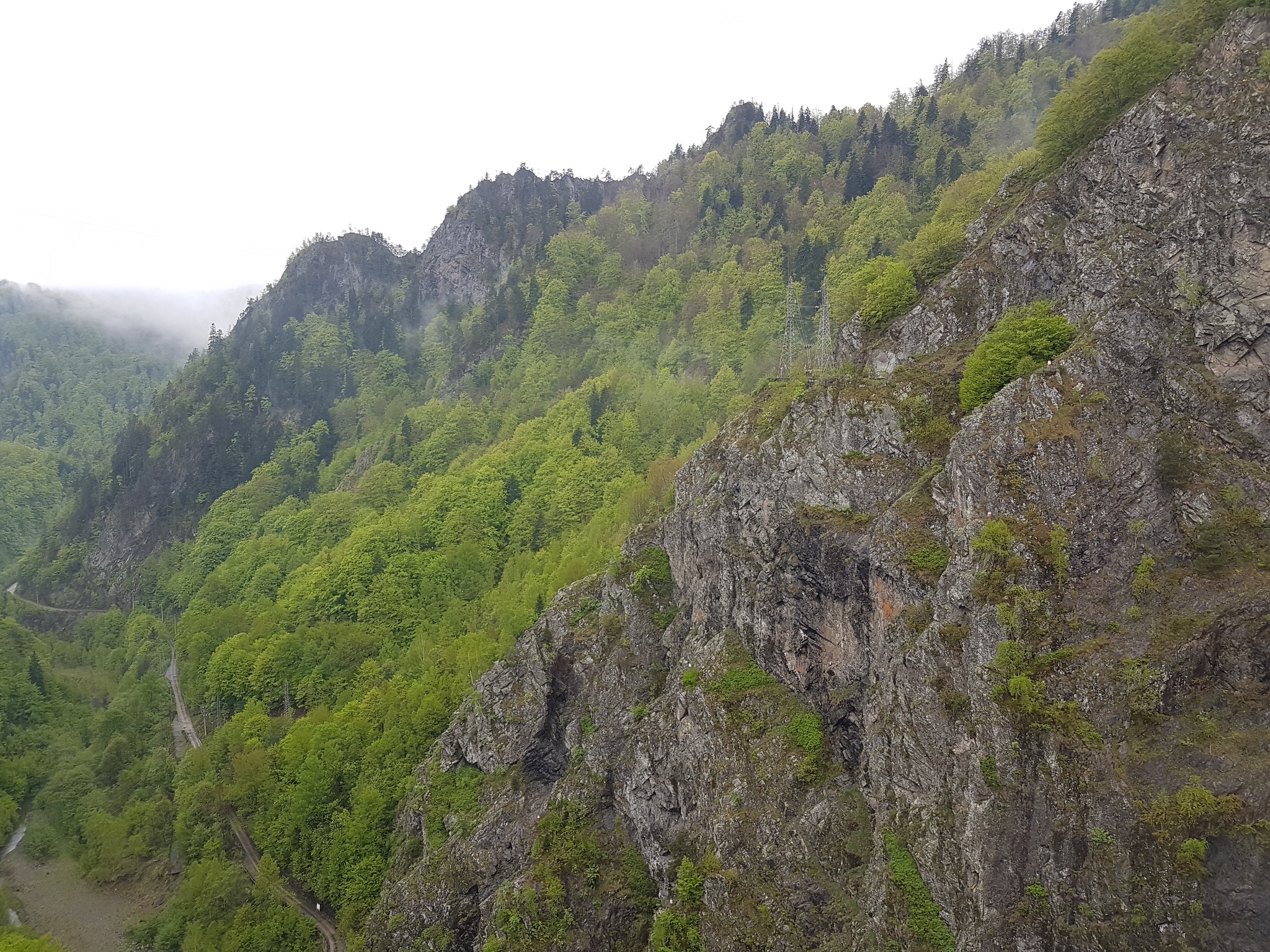 Carpathians - My, Romania, The mountains, Longpost, The photo, Nature