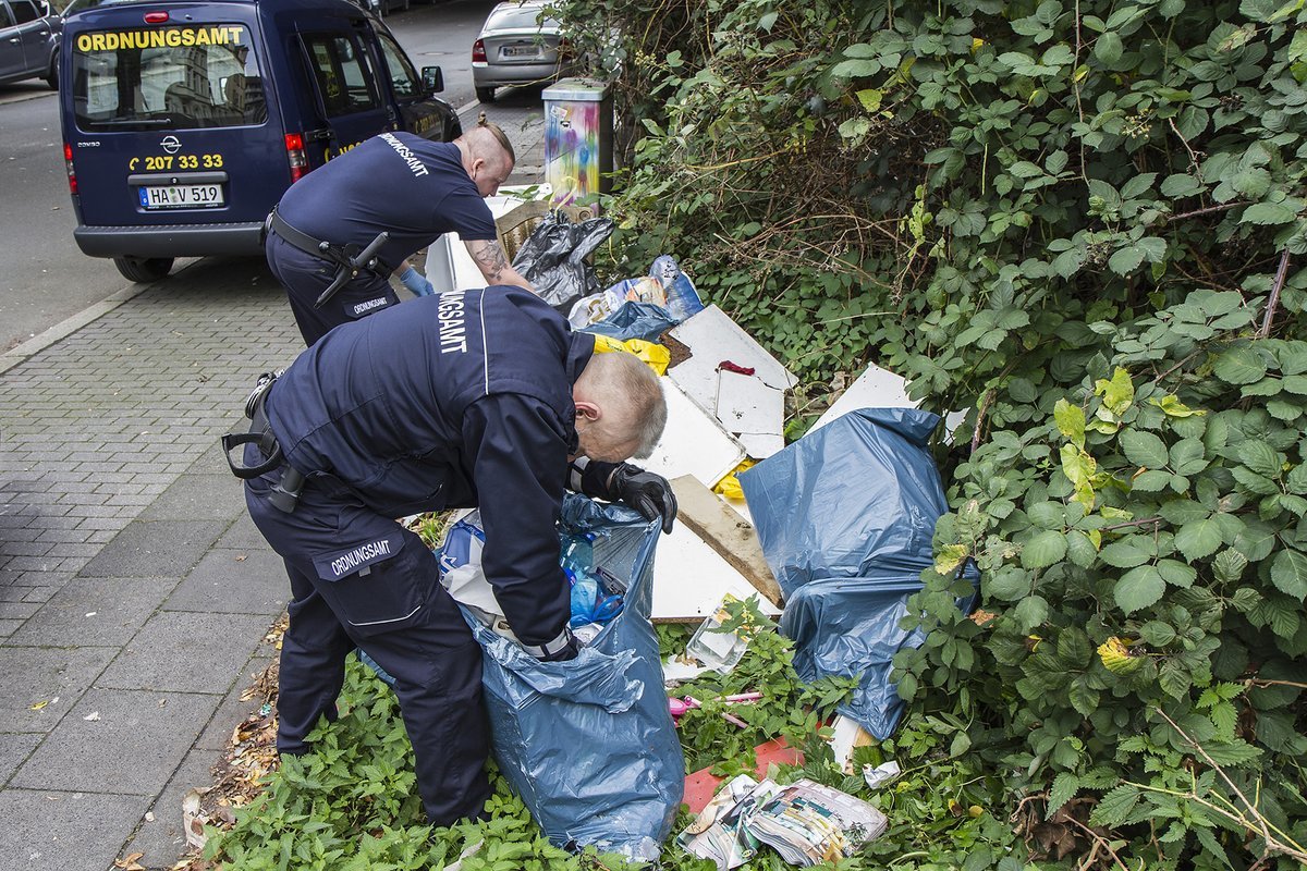 In the footsteps of a clean man or how to stop talking to your neighbors - My, Germany, Pick-up headphones abroad, Garbage, Longpost, GIF, Pure Man's League