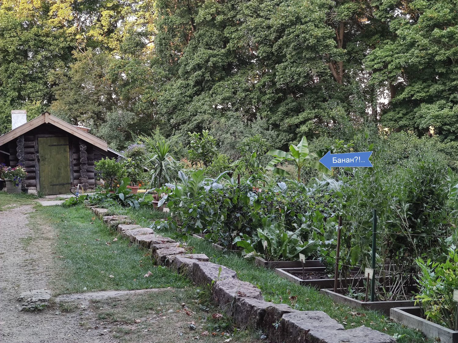 Place of power of Leo Nikolaevich Tolstoy - My, Yasnaya Polyana, The photo, Longpost