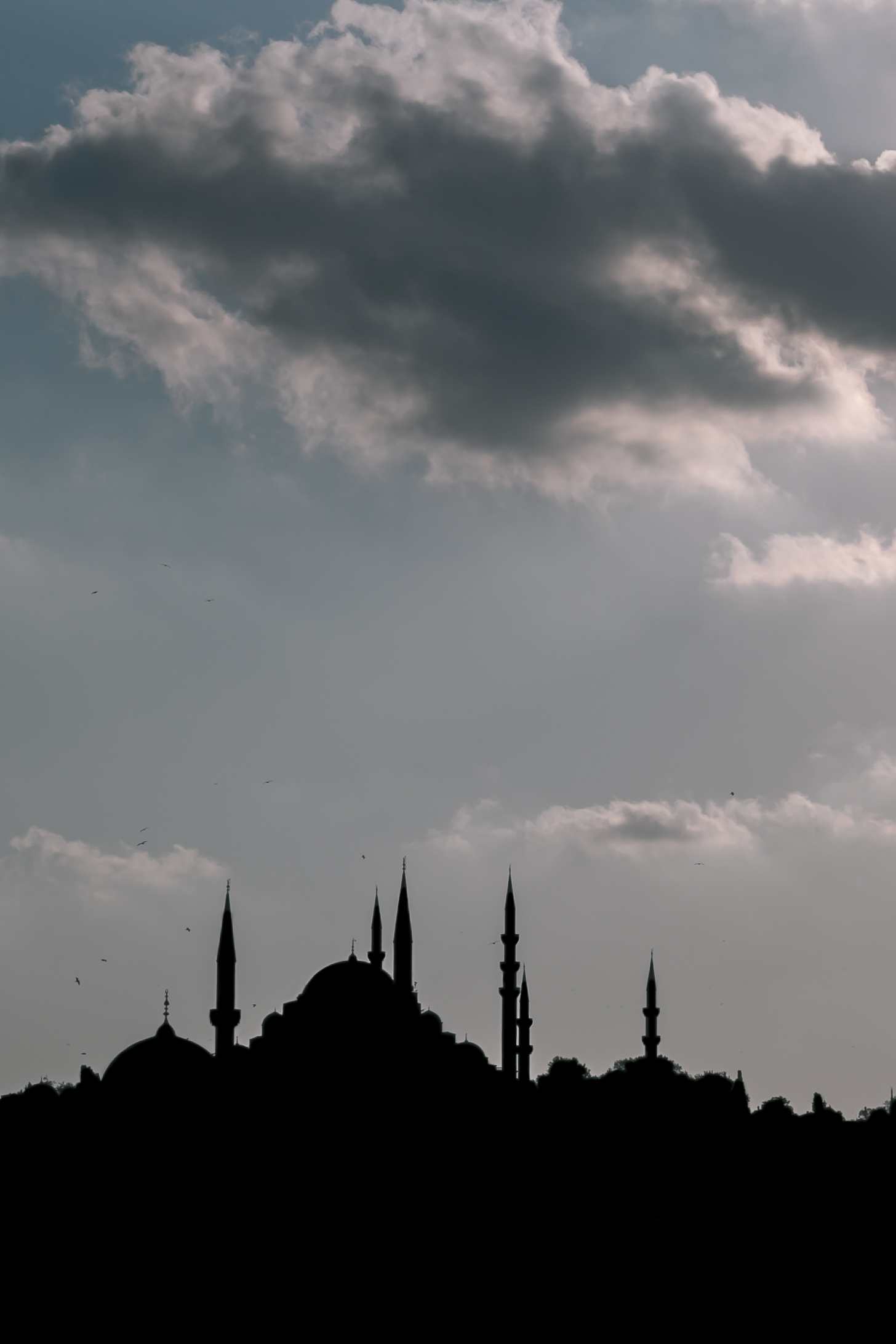 Silhouettes - My, Istanbul, Mosque, The photo, Suleymaniye Mosque