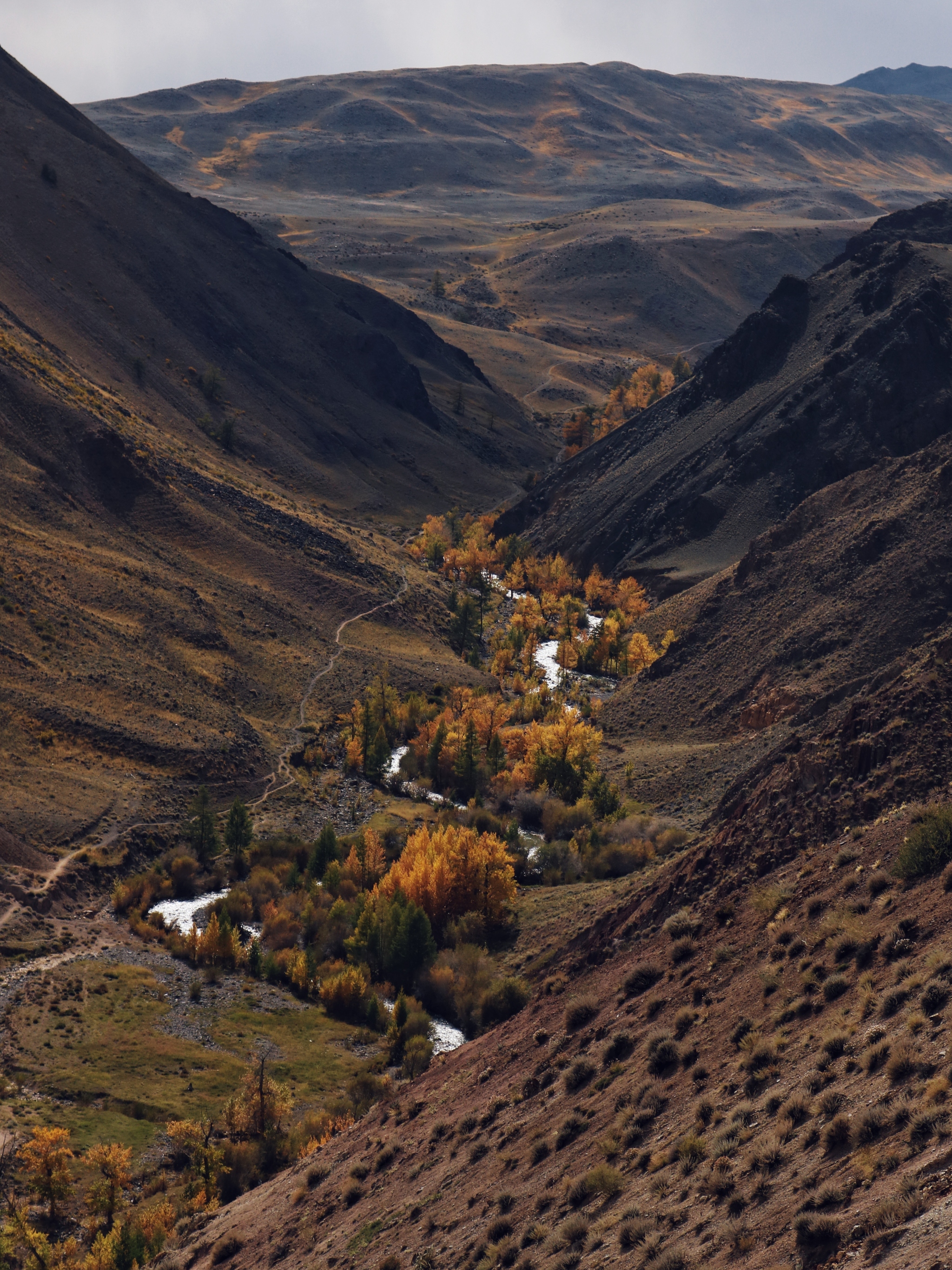 A little bit of September Altai - My, Altai Republic, The photo, Autumn, Longpost