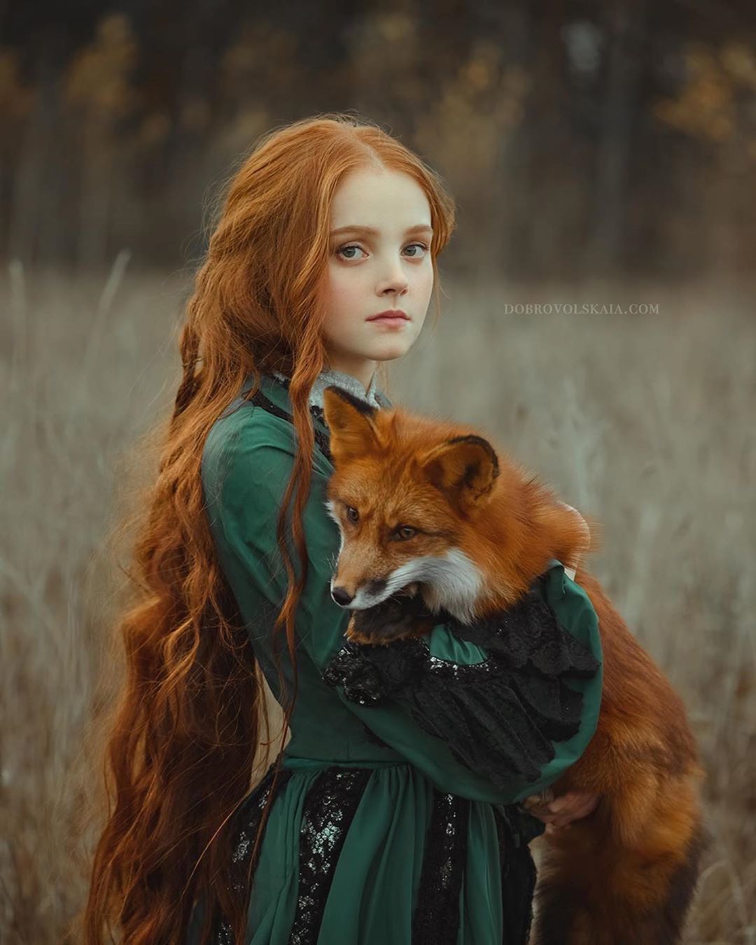 We're the same blood - Animals, The photo, Video, Longpost, Fox, Redheads, cat, Lynx, Owl, Dog