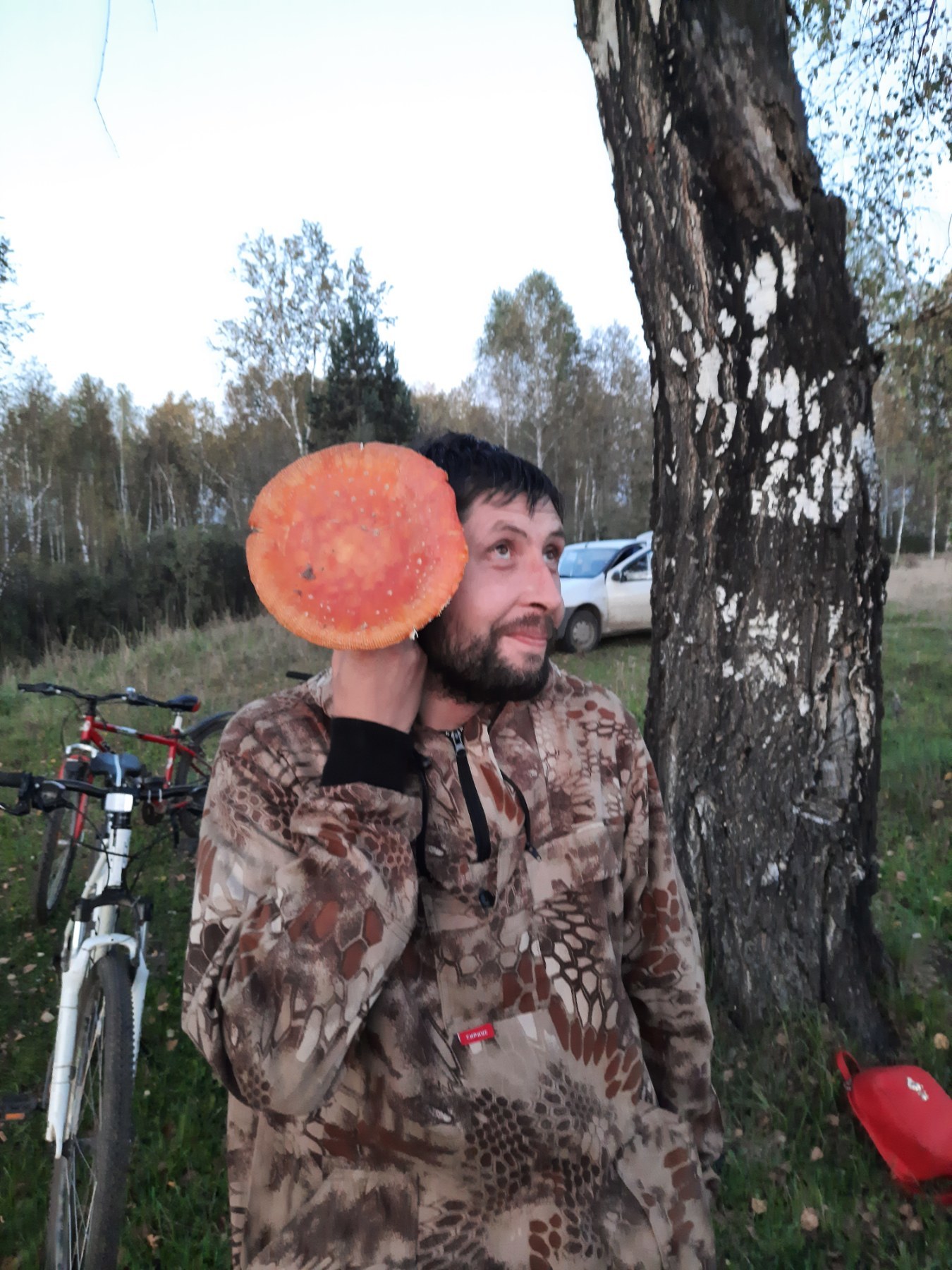 Fly agarics. First experience - My, Fly agaric, Food, Mushrooms, Longpost