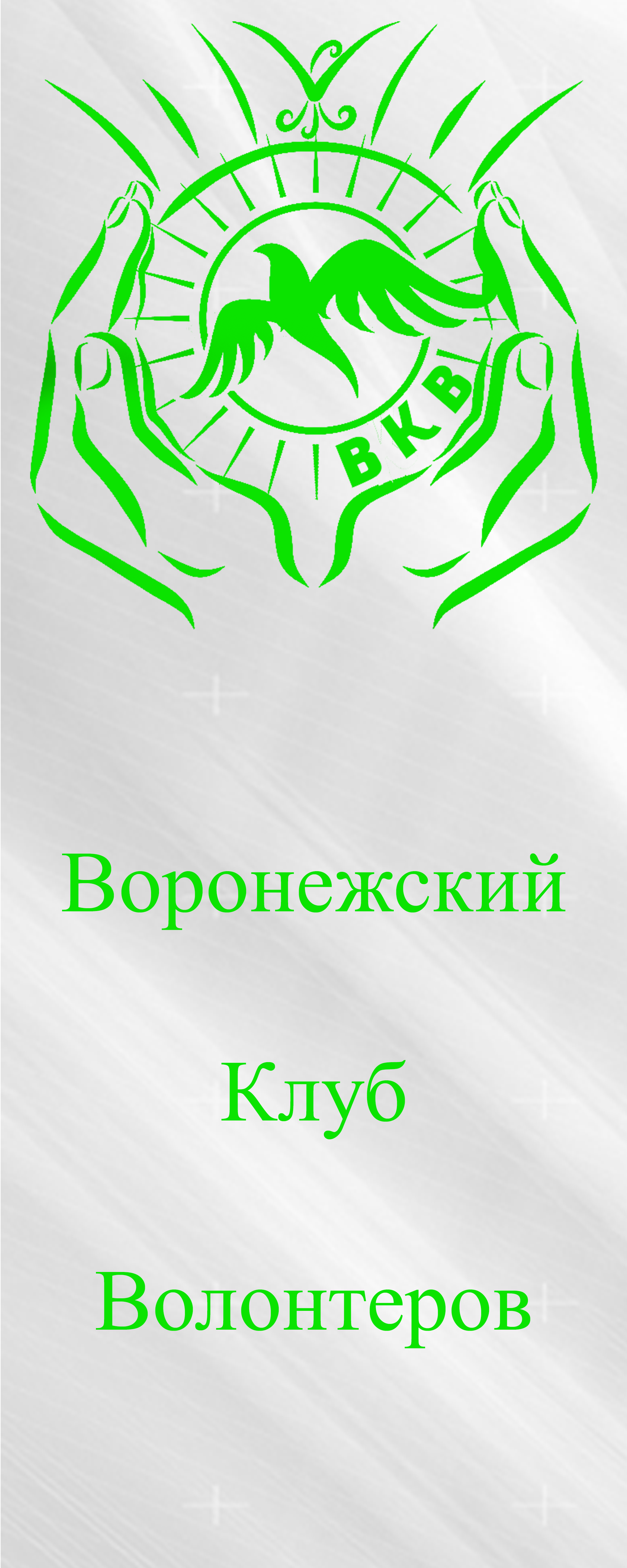 Indignation post, not for the sake of karma, opinions for - My, No rating, Agitation, Longpost, A complaint, Voronezh, Volunteering, Politics