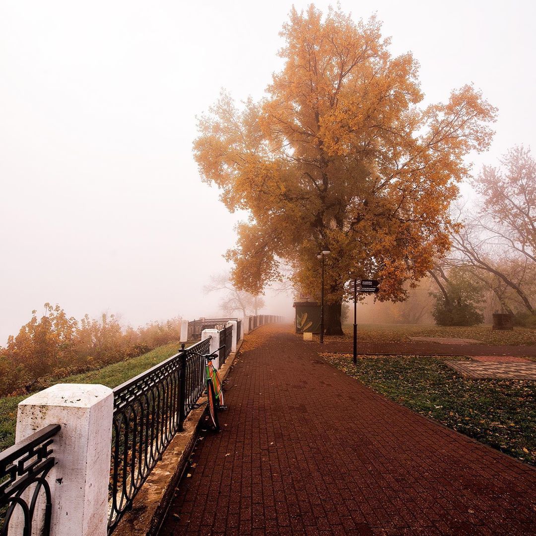 Alexander Garden - Vyatka, Alexander Garden, Autumn, Fog, The photo, Longpost