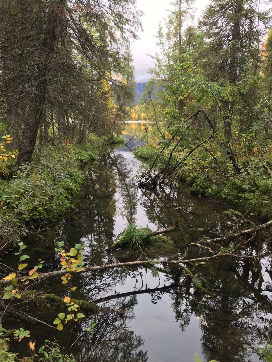 The most magical trip of my life, in the truest sense of the word... - My, Seydozero, Kola Peninsula, Lovozero, Tundra, Landscape, Autumn, Туристы, Longpost, Nature, Travels