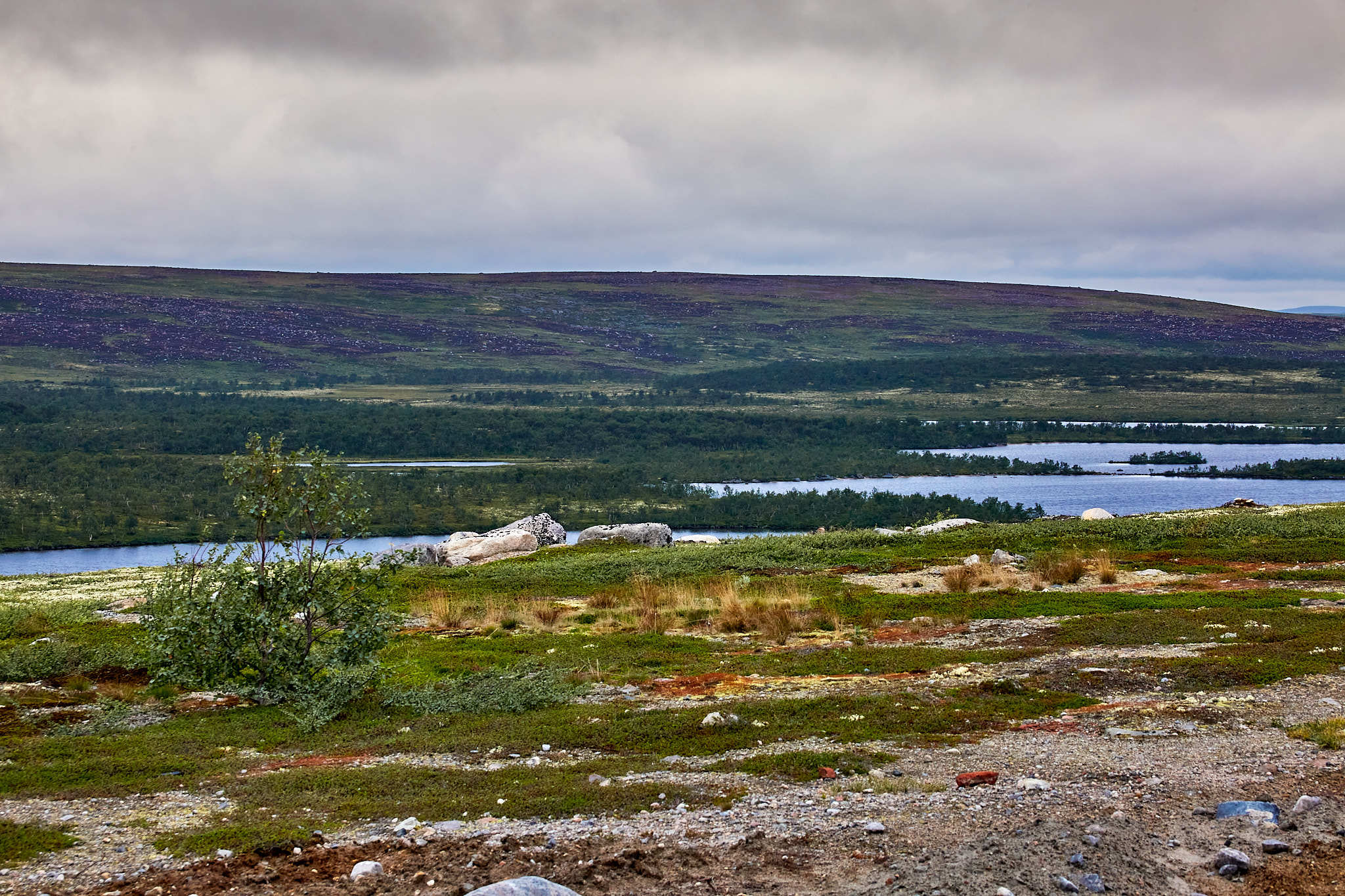 Kola Peninsula - My, Kola Peninsula, Landscape, Travels, Longpost, Murmansk region, Nature