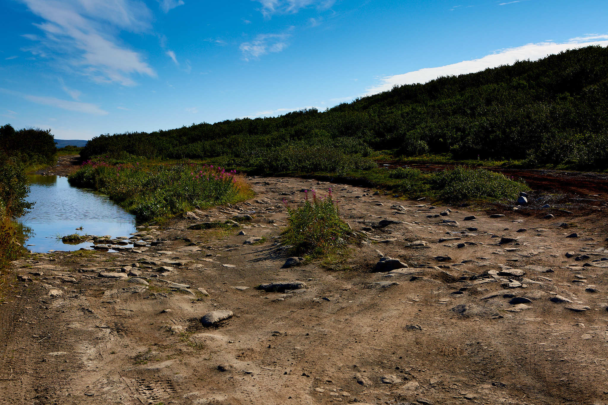 Kola Peninsula - My, Kola Peninsula, Landscape, Travels, Longpost, Murmansk region, Nature