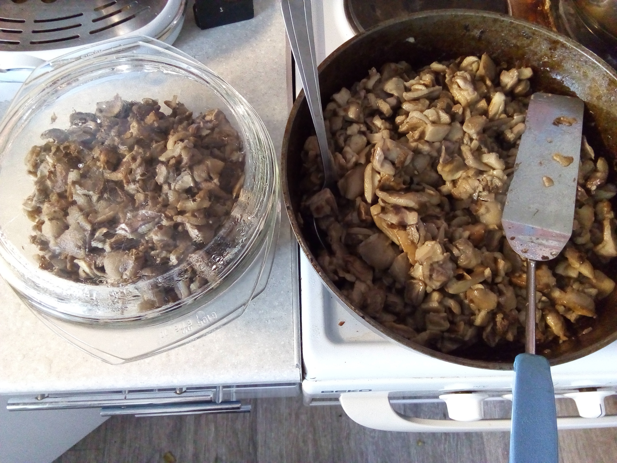 And we have mushrooms...) - My, Mushrooms, Blanks, Food, Longpost