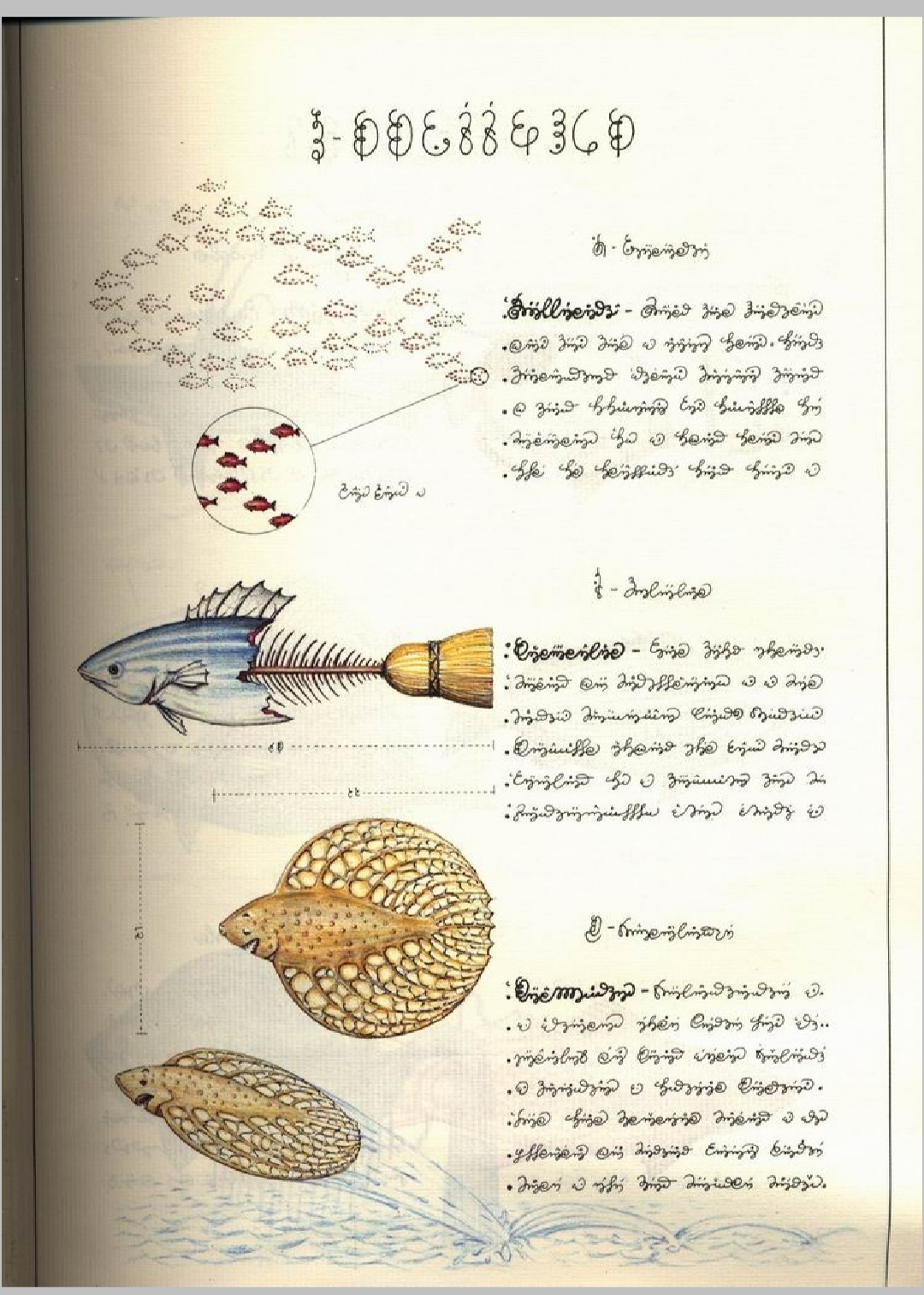 Codex Serafini. The strangest book of the 20th century - Books, Codex Serafini, Unusual, Weird things, Amazing, Rarity, Surrealism, Art, Illustrations, Longpost