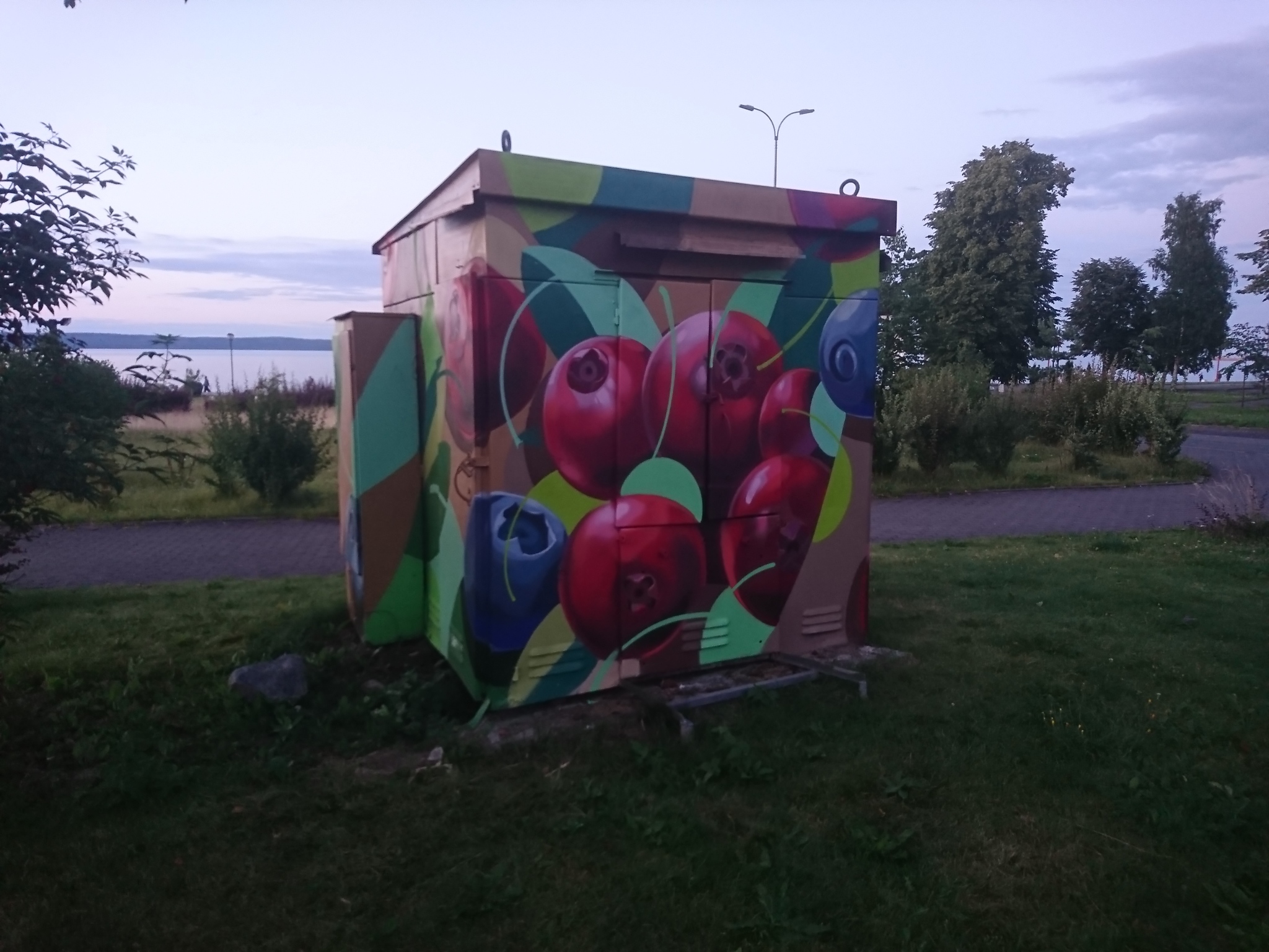 Граффити в Карелии | Пикабу