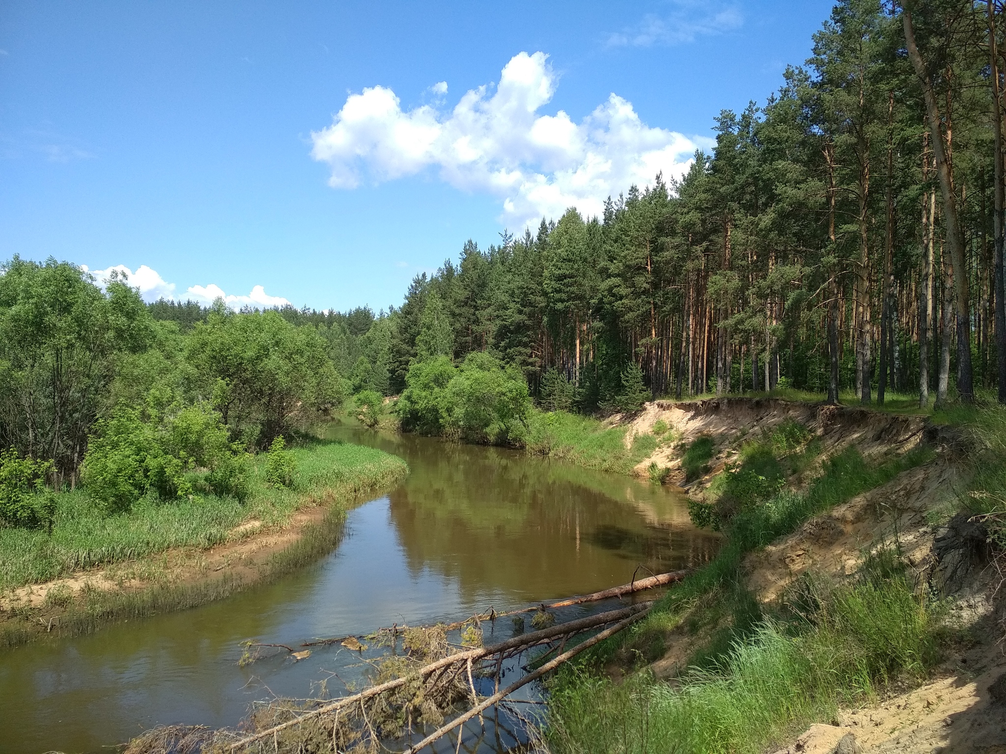 Palatochnoye (Vladimir region) - My, Nature, Tourism, Camping, Longpost, beauty of nature, The nature of Russia