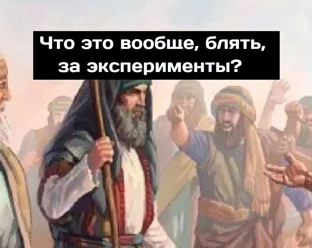 ВОПРОСЫ И ОТВЕТЫ