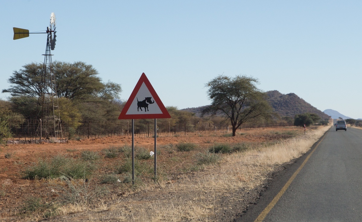 Namibia. 2019 - My, Namibia, Travels, Africa, Longpost, Animals