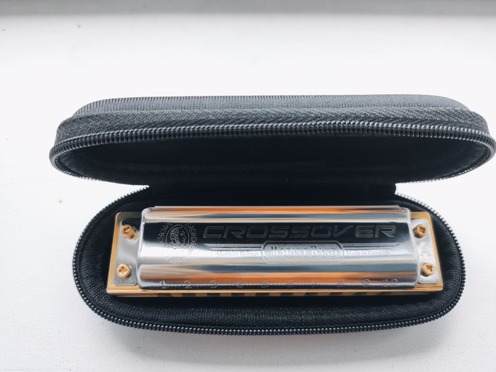 Harmonica - My, Harmonica, Harmonica, Longpost, Article, Music, Video