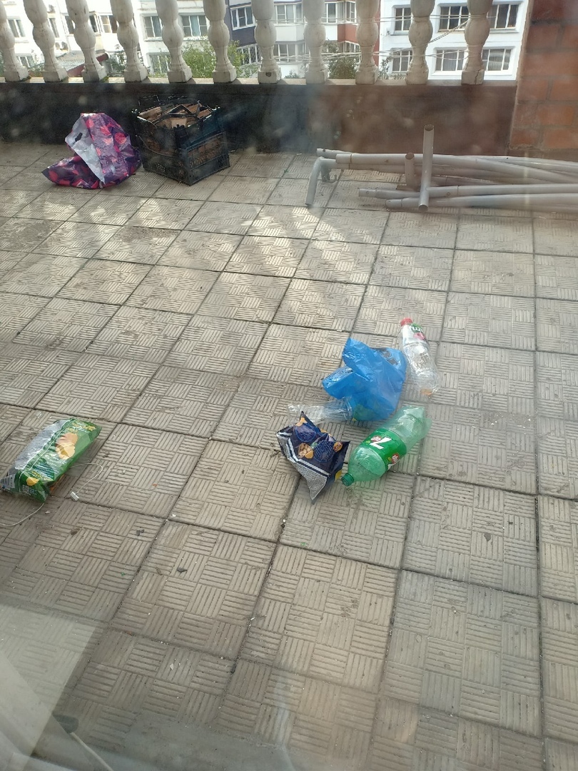 Как наказать соседей, которые выбрасывают мусор из окна?