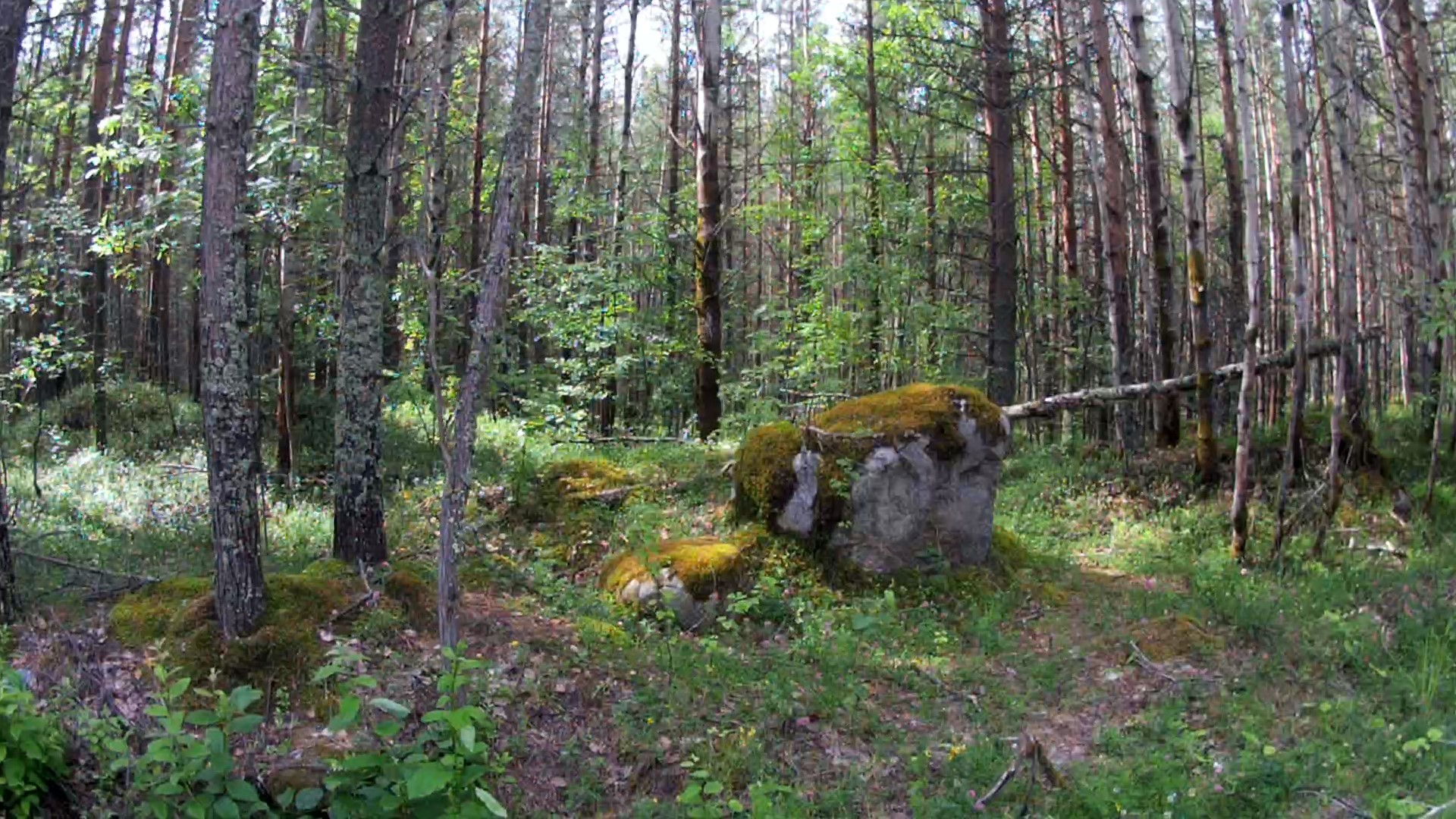 Karelia: Segezha - Nadvoitsy / Solo hiking trip - My, On foot, Tracking, Hobby, Travels, Hike, Карелия, Waterfall, Video, Longpost