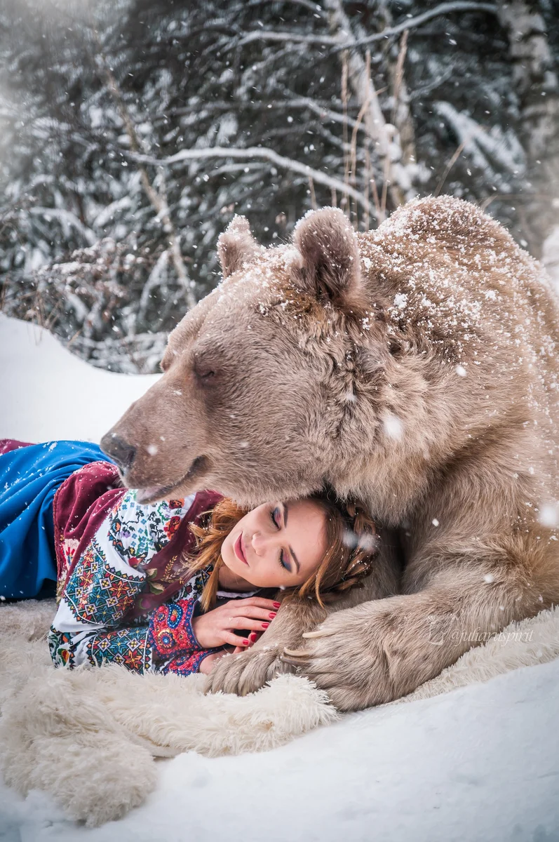 Фотосессия с медведем в лесу