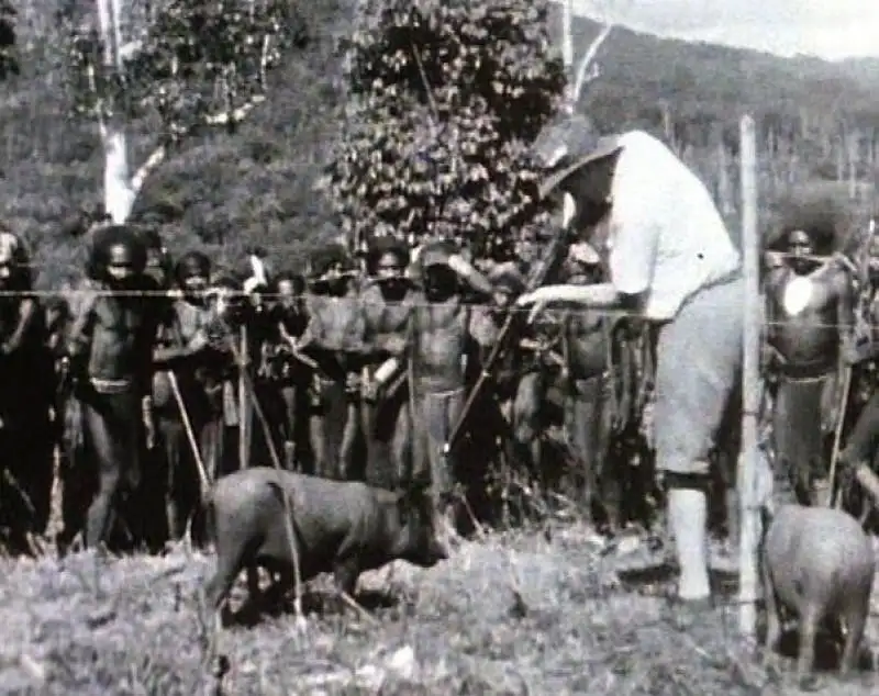 The moment when the inhabitants of New Guinea lost their entire understanding of the world around them - Story, Interesting, First meeting, Different, Civilization, Natives, Europeans, The photo, Longpost, Papua New Guinea