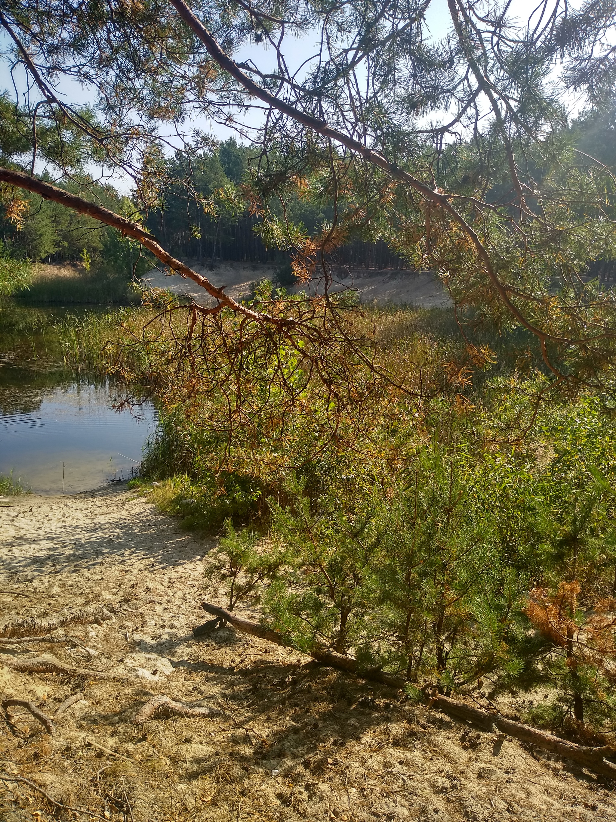 September - My, Brest, Longpost, Autumn, beauty of nature, Nature